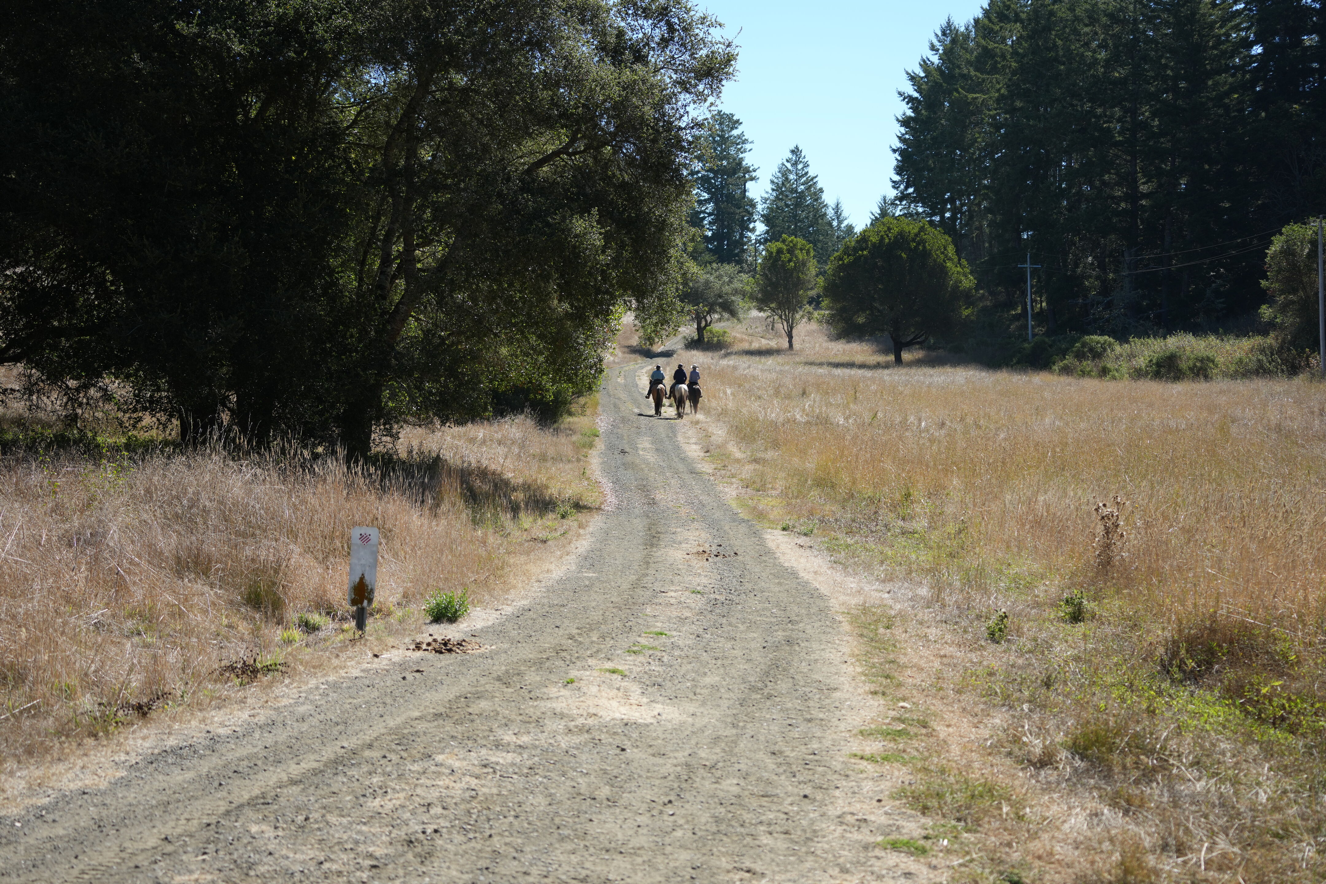 Sam McDonald Park
