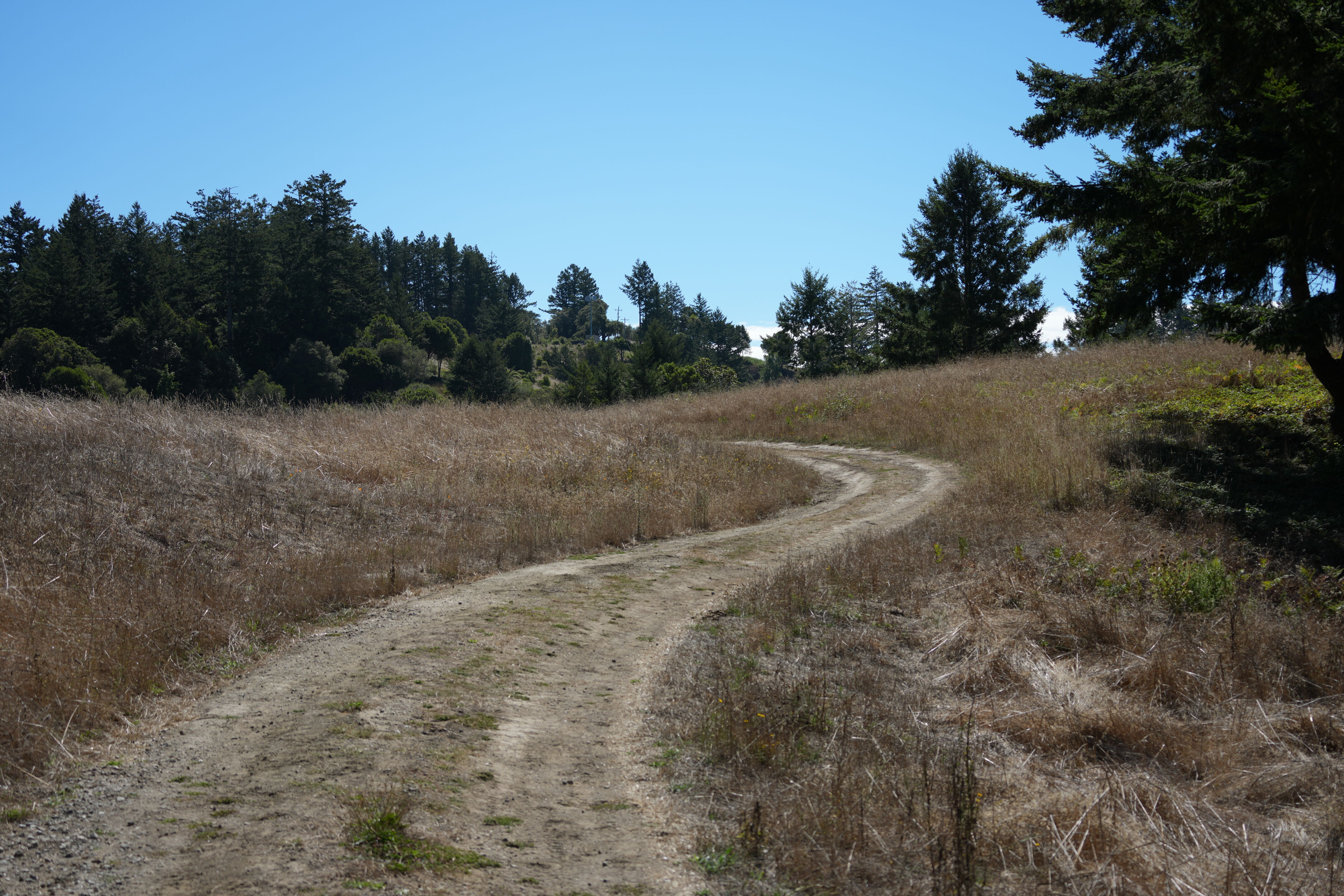 Sam McDonald Park