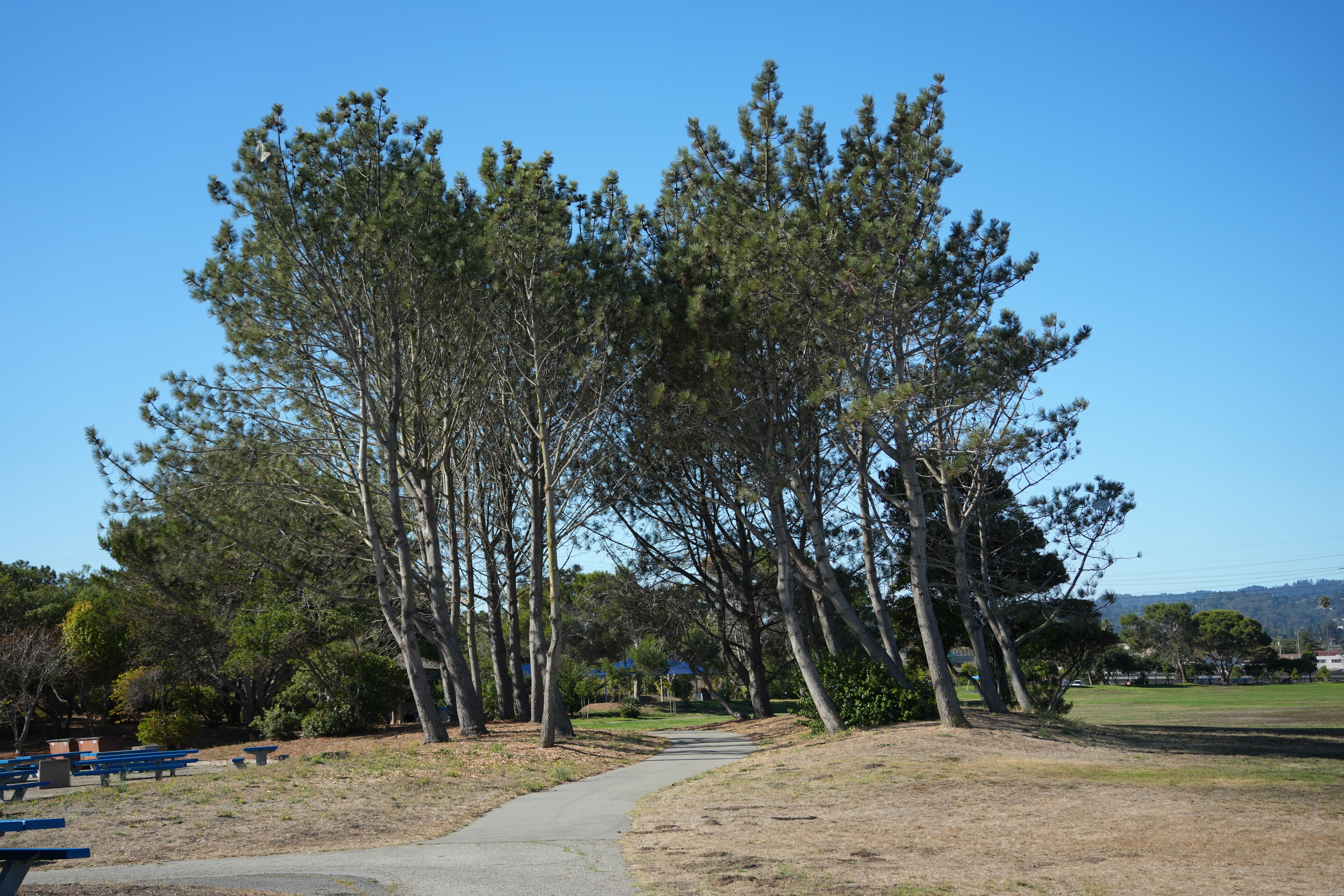 Coyote Point Recreation Area
