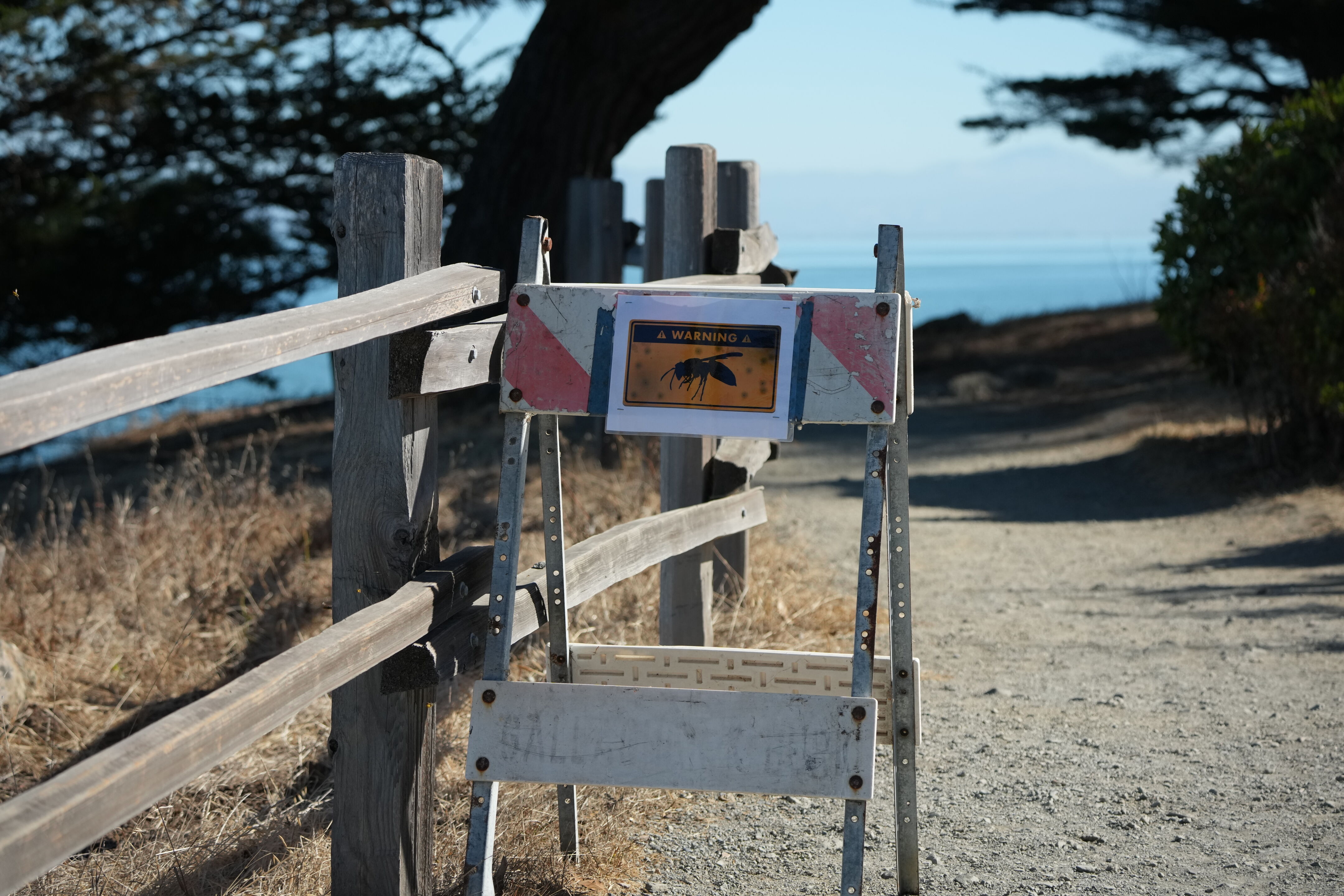 Coyote Point Recreation Area
