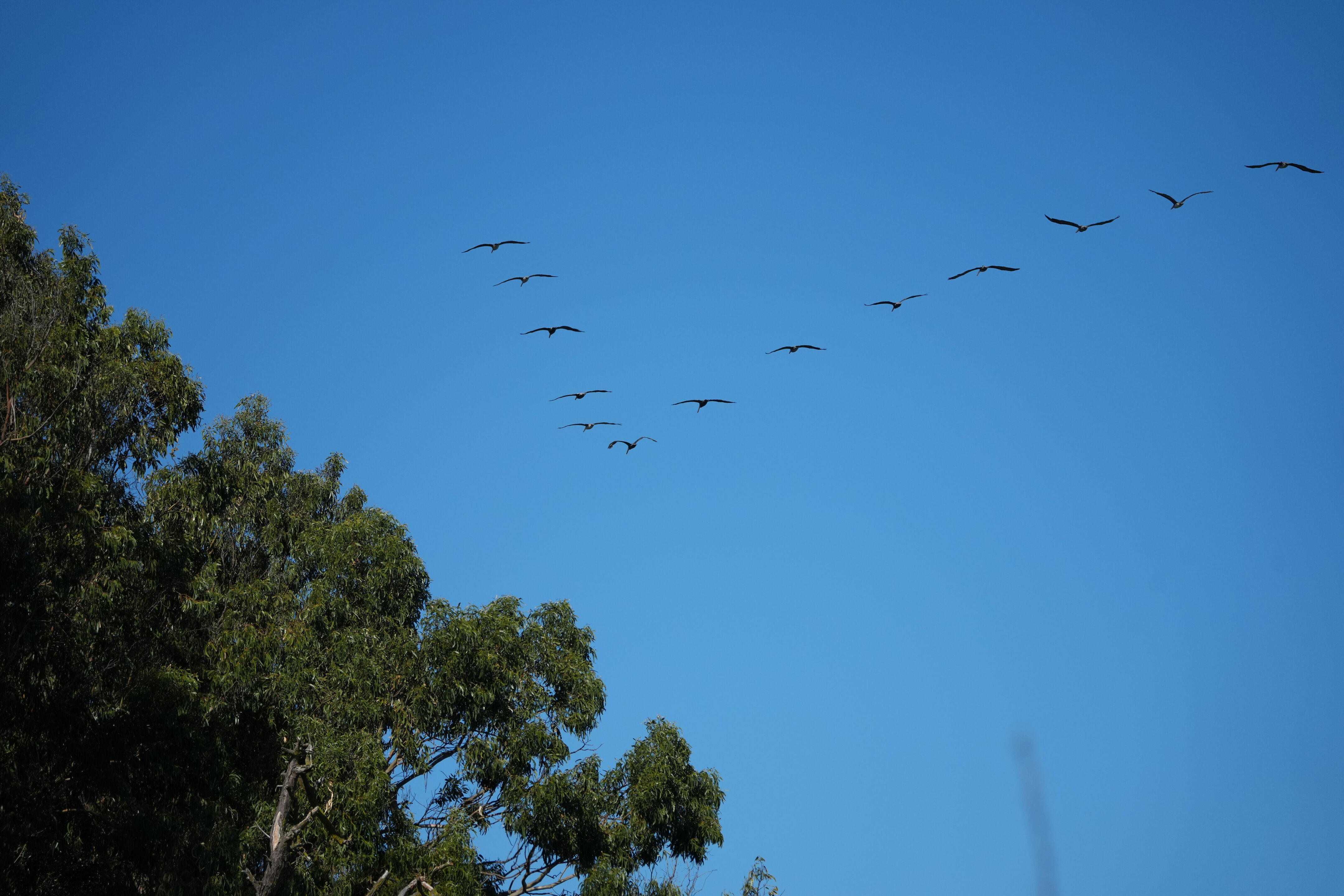 Coyote Point Recreation Area