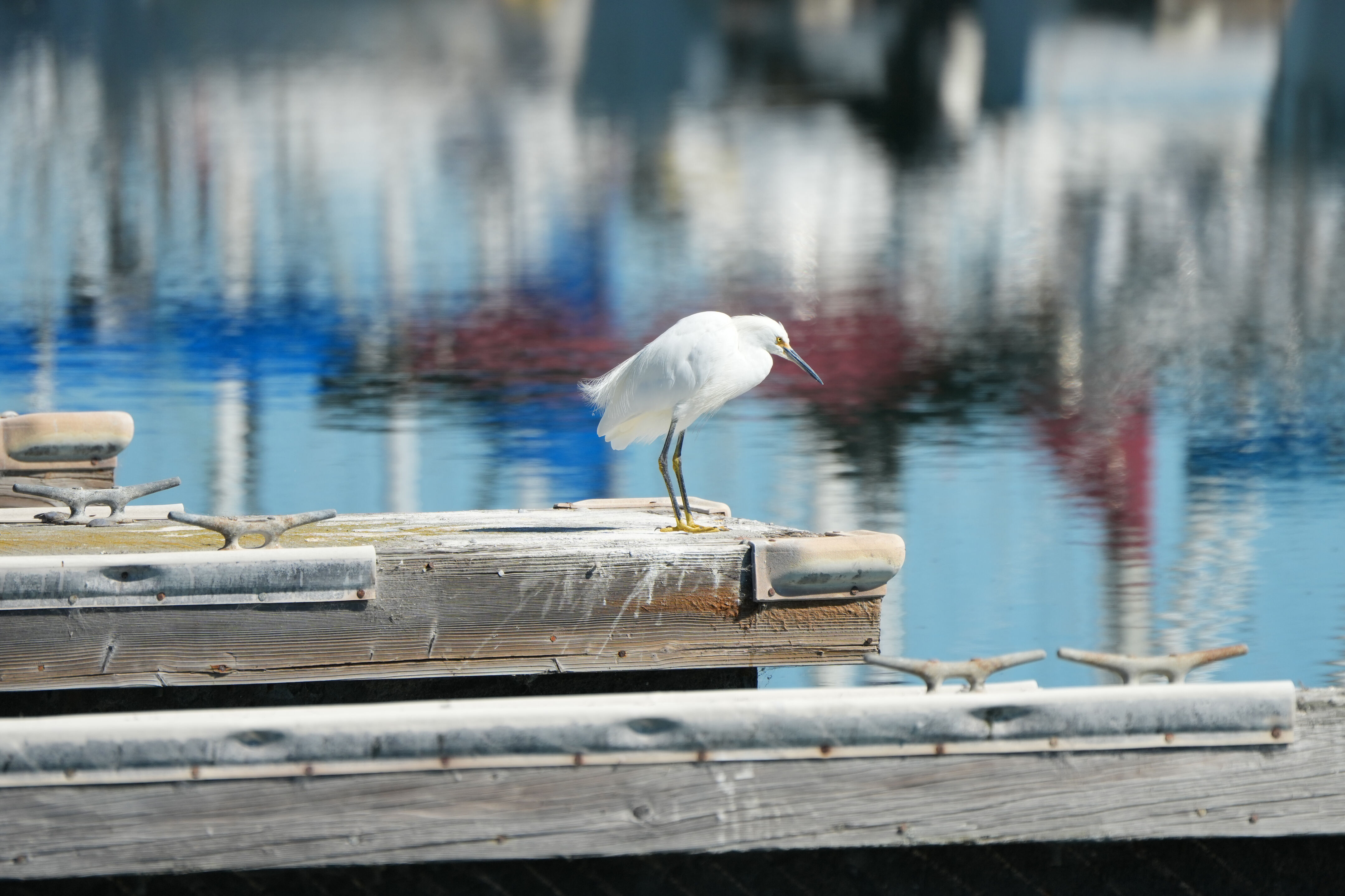 Coyote Point Recreation Area