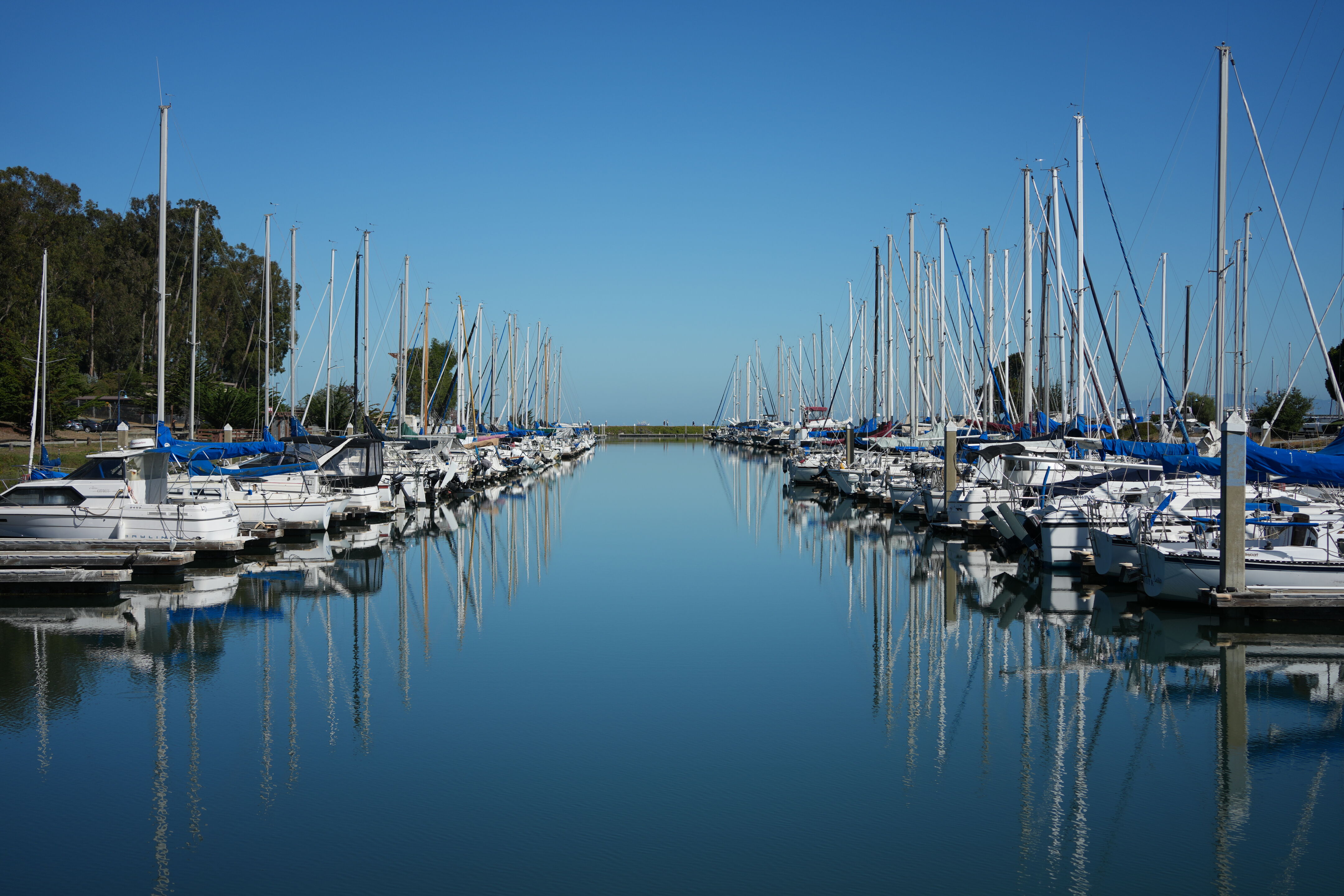 Coyote Point Recreation Area