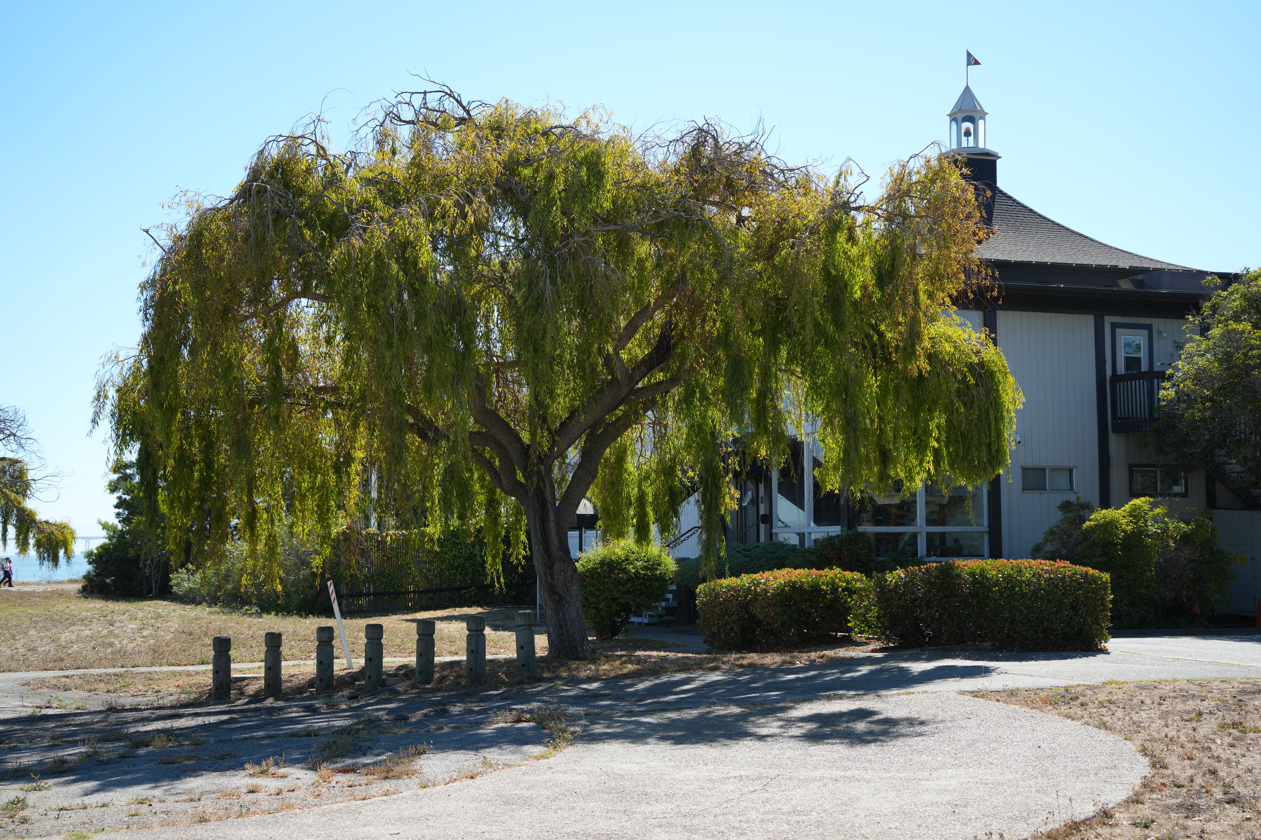 Coyote Point Recreation Area