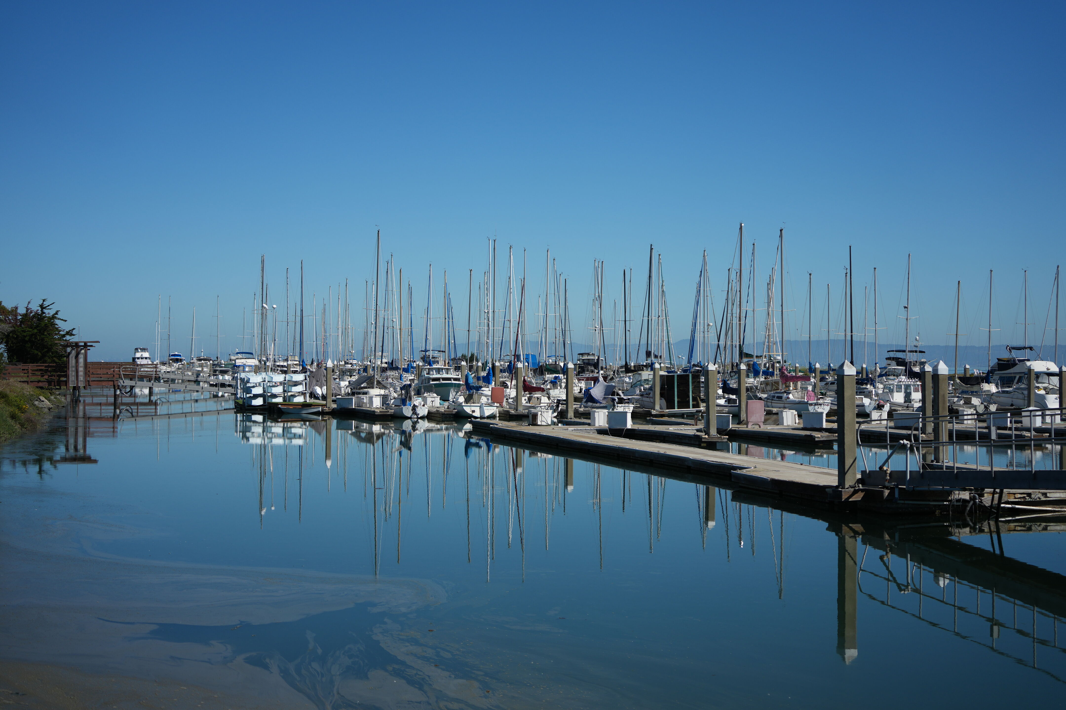 Coyote Point Recreation Area