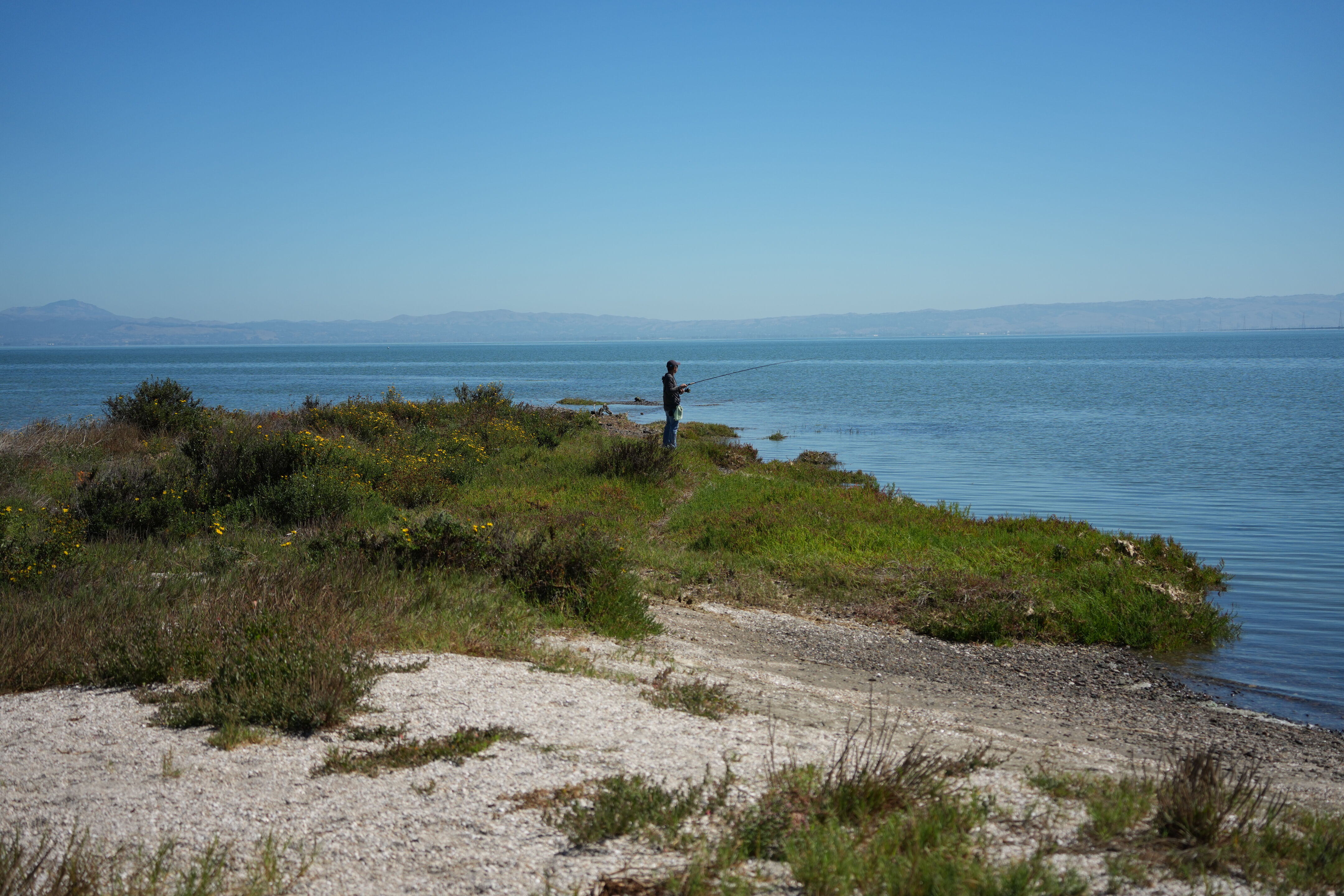 Coyote Point Recreation Area