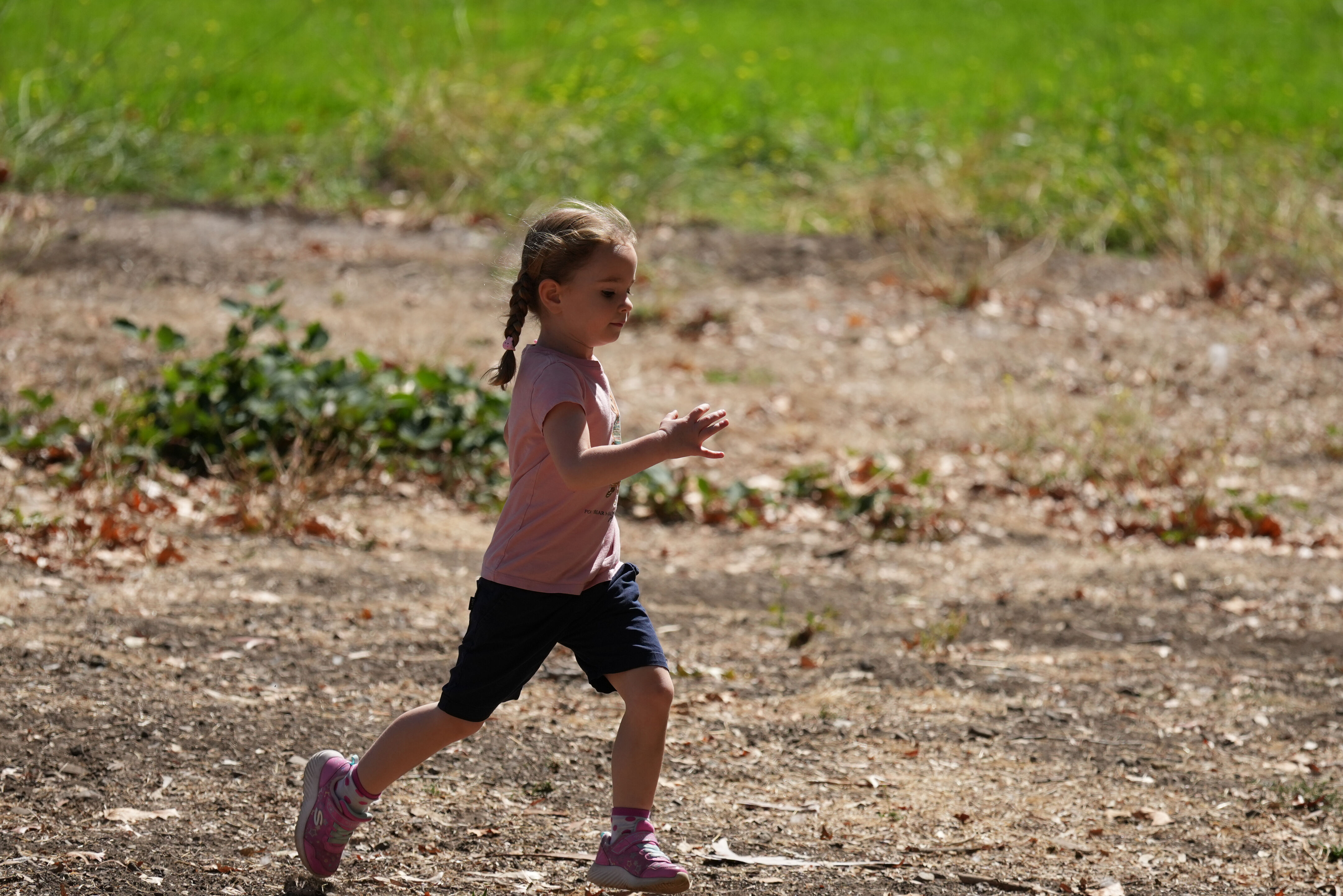 Vasona Lake County Park