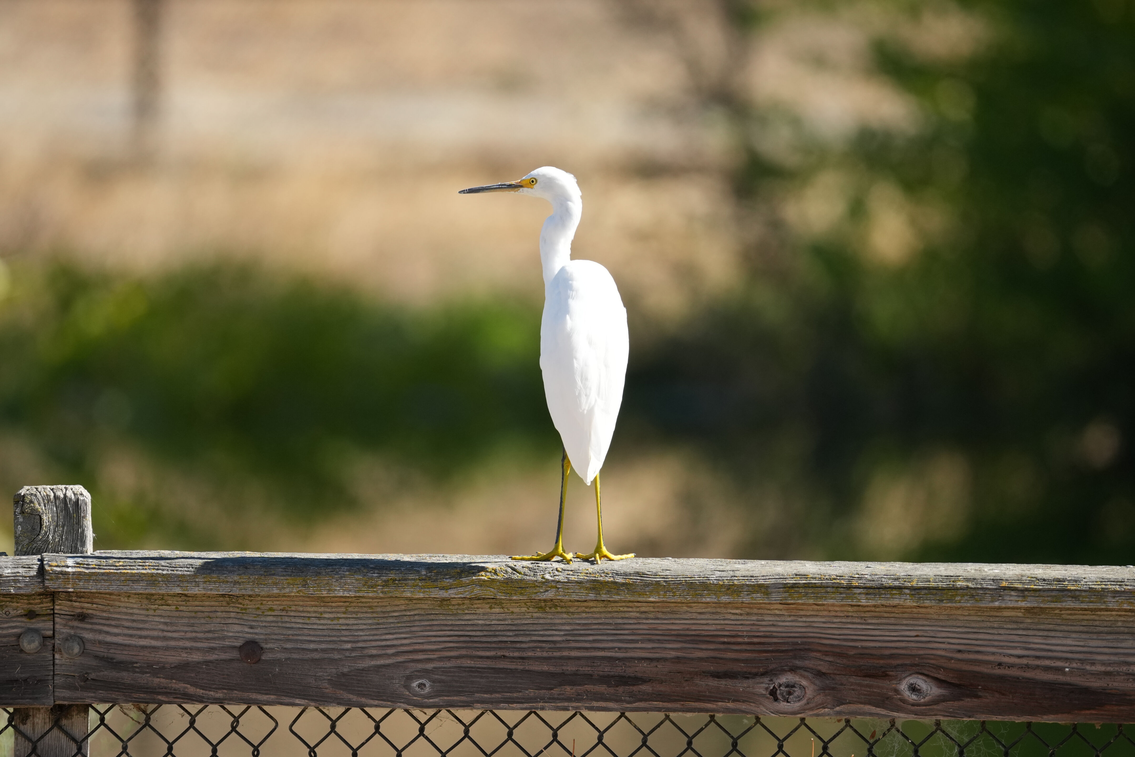 Penitencia Creek County Park