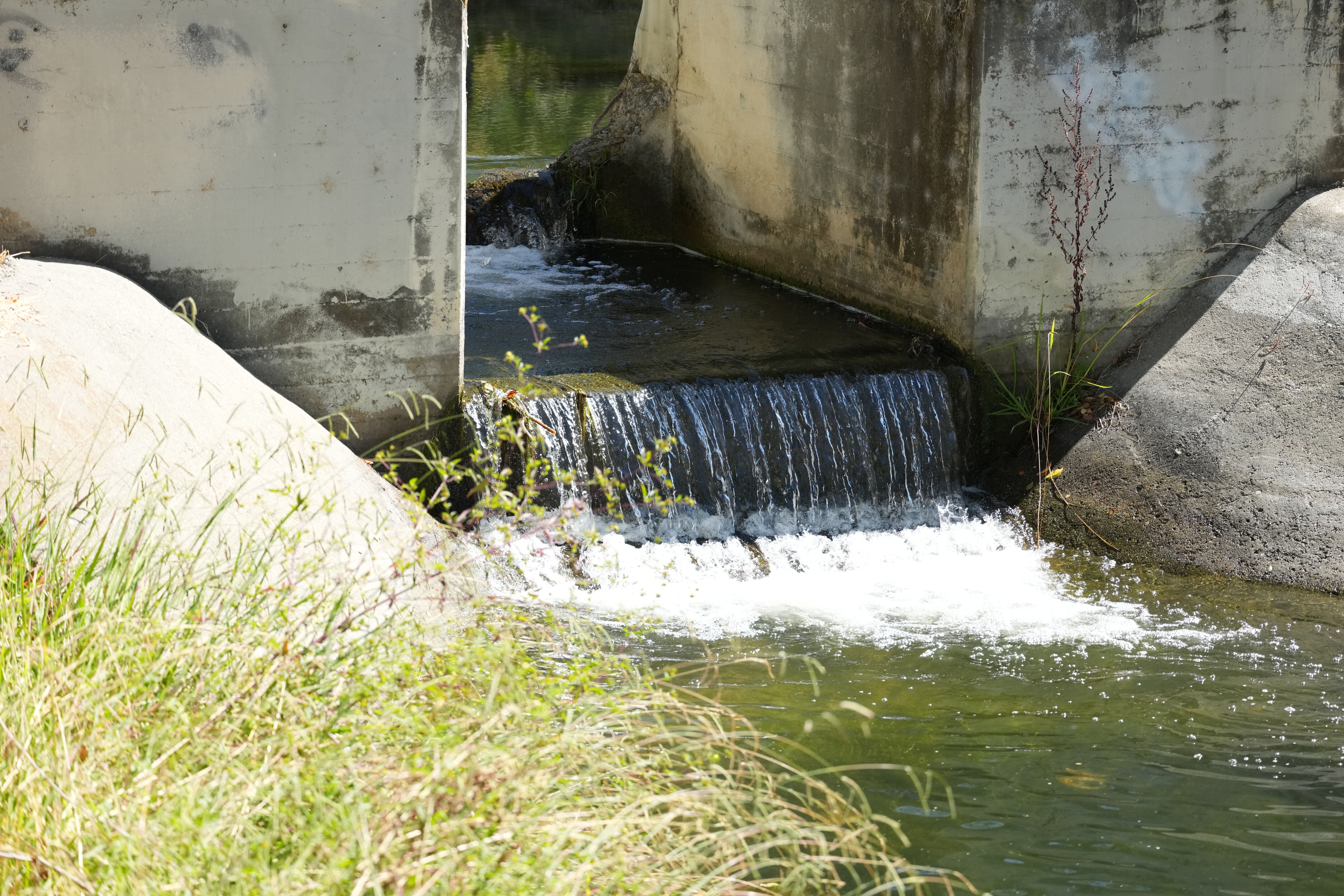 Penitencia Creek County Park