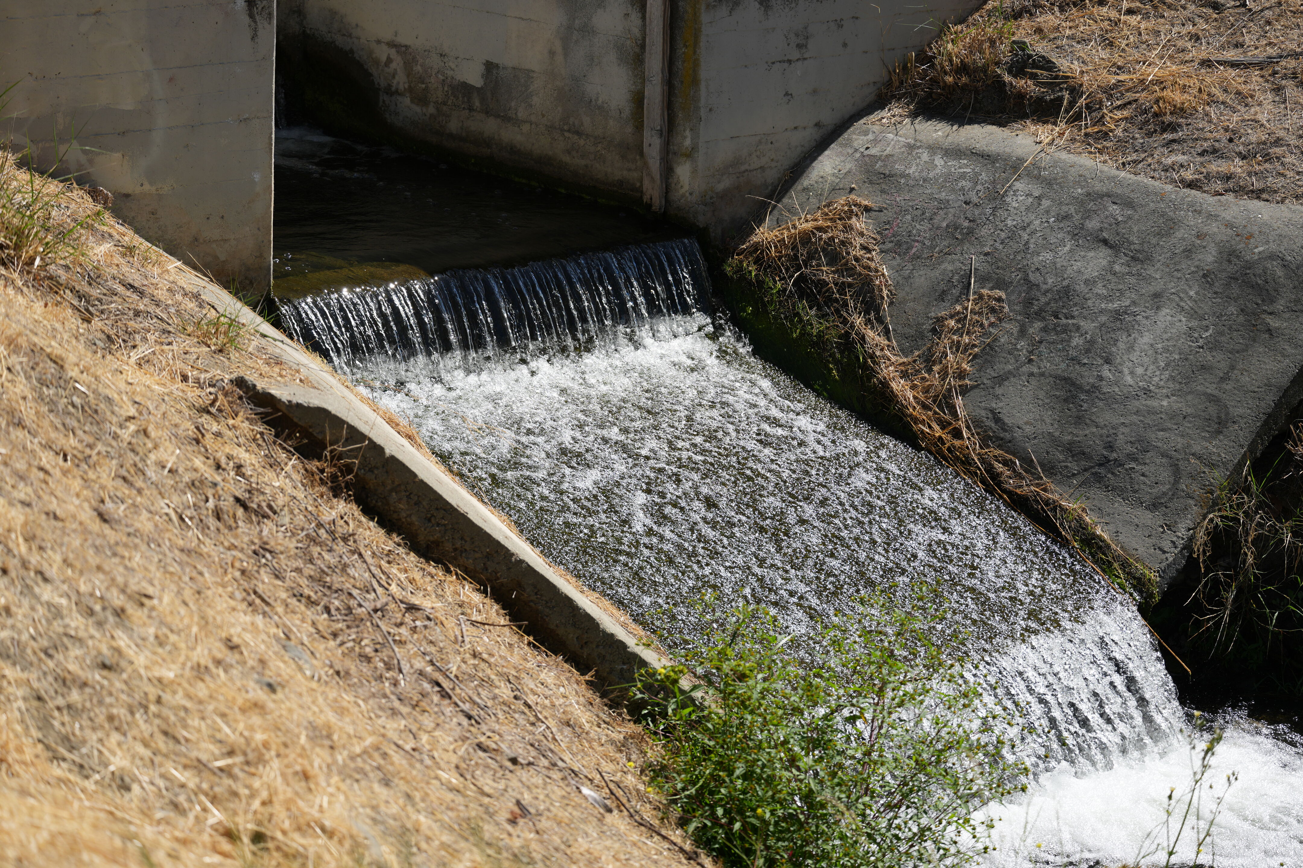Penitencia Creek County Park