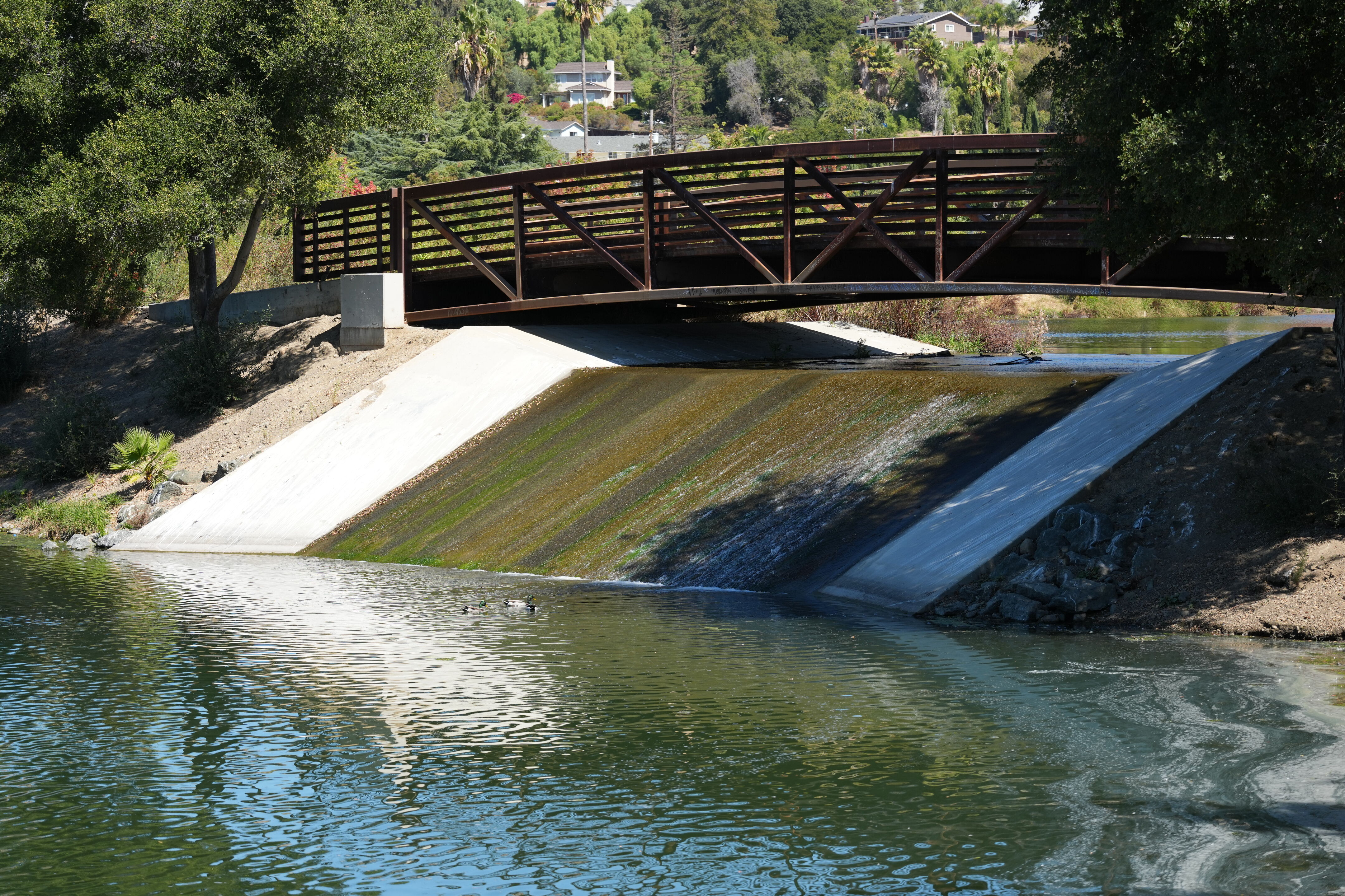 Penitencia Creek County Park