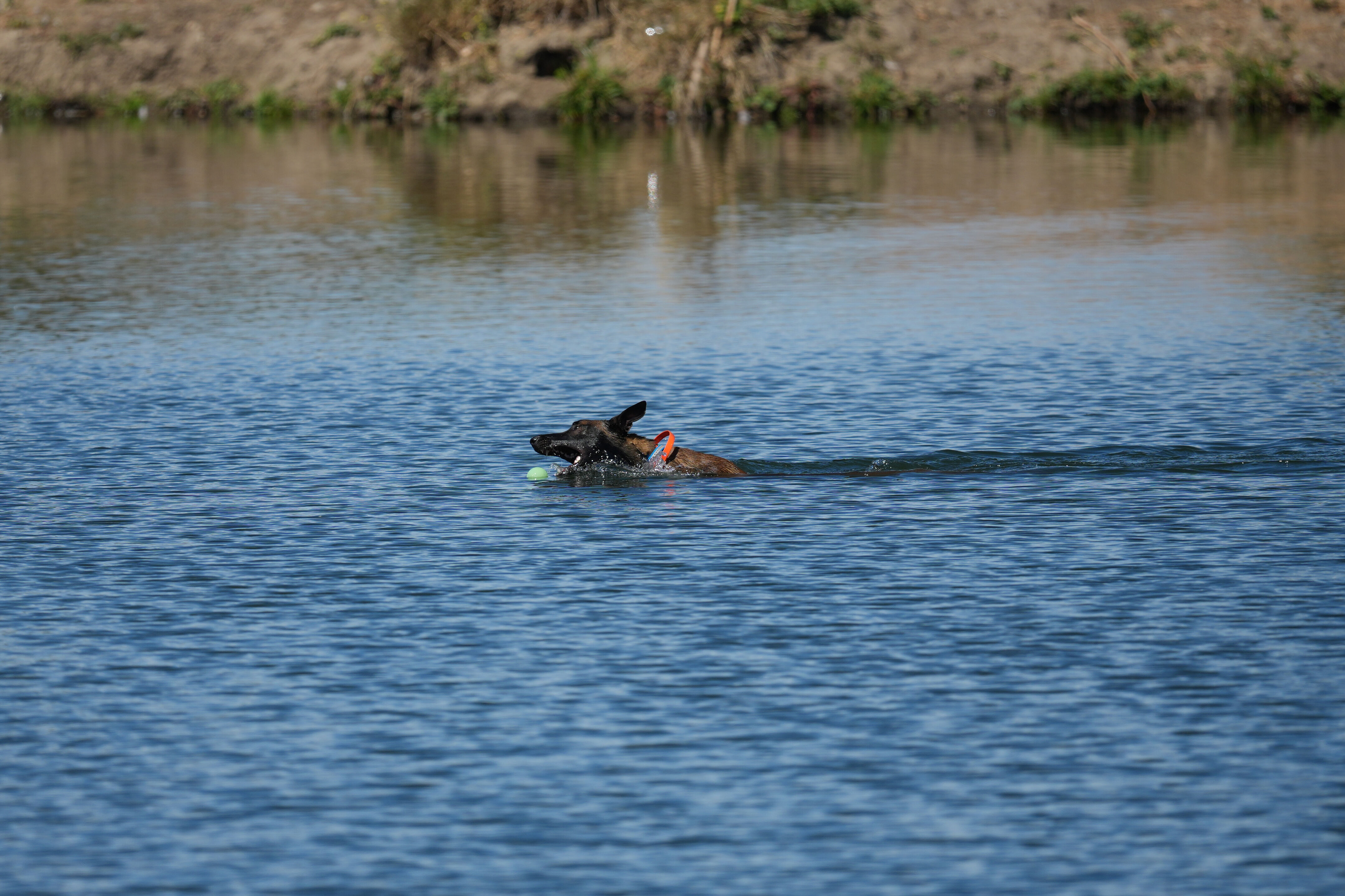 Penitencia Creek County Park