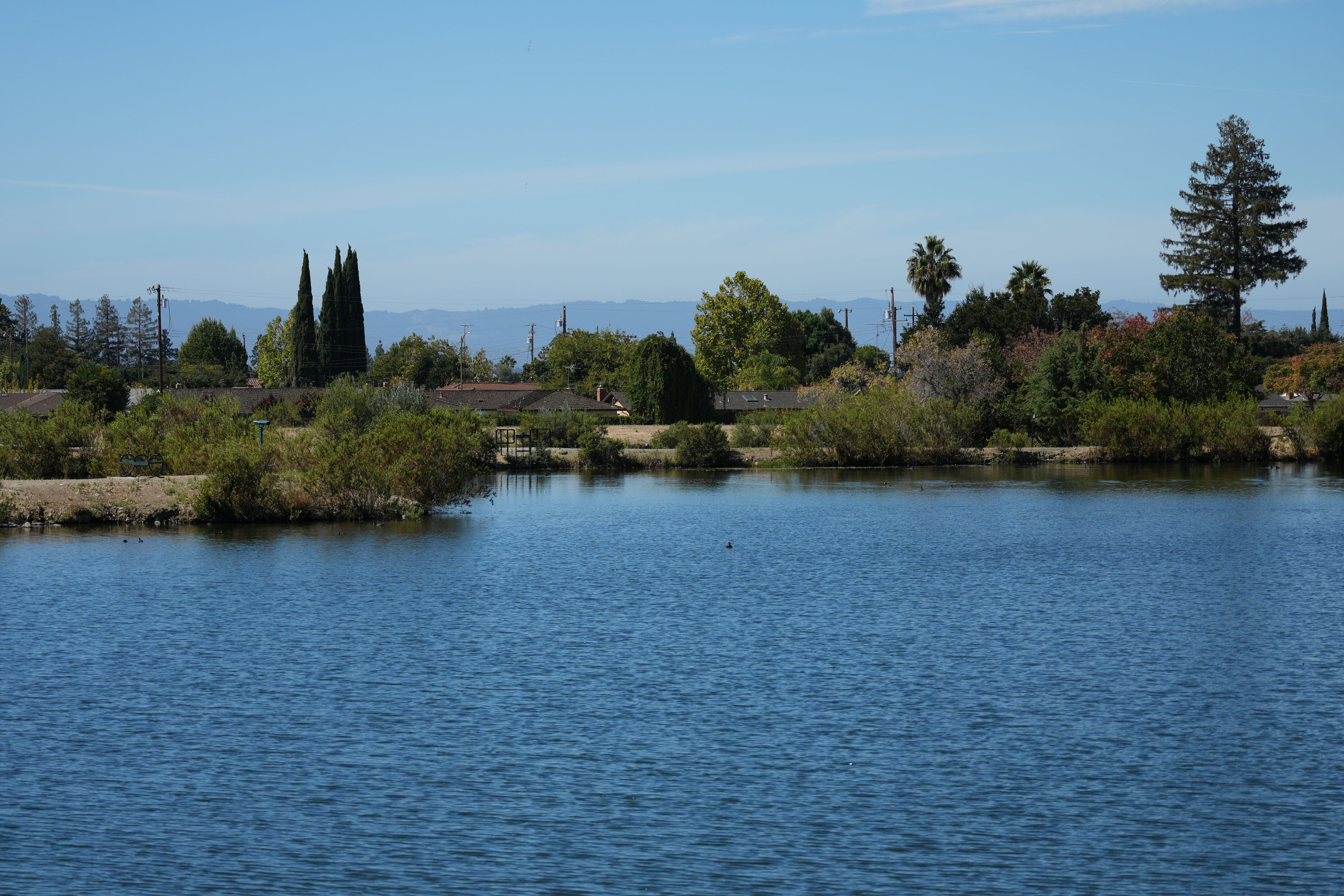 Penitencia Creek County Park