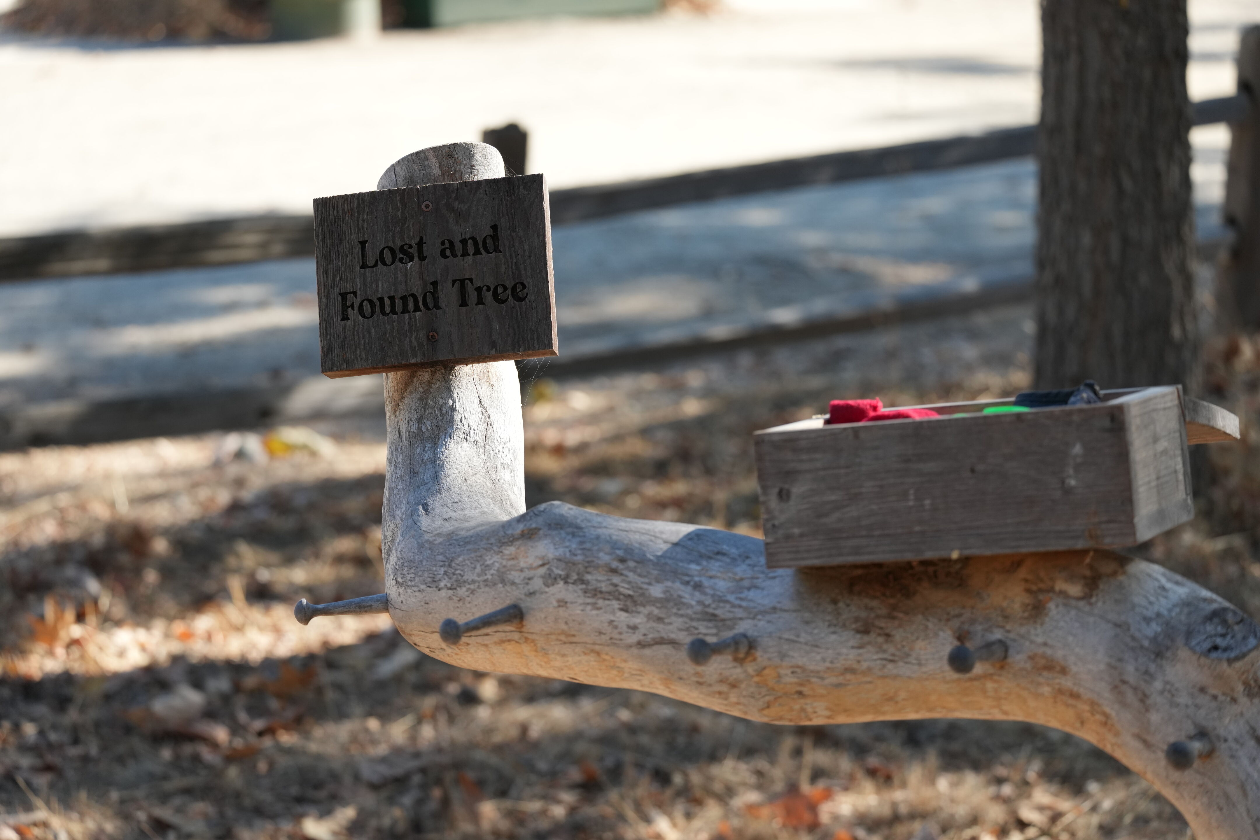 Sycamore Grove Park