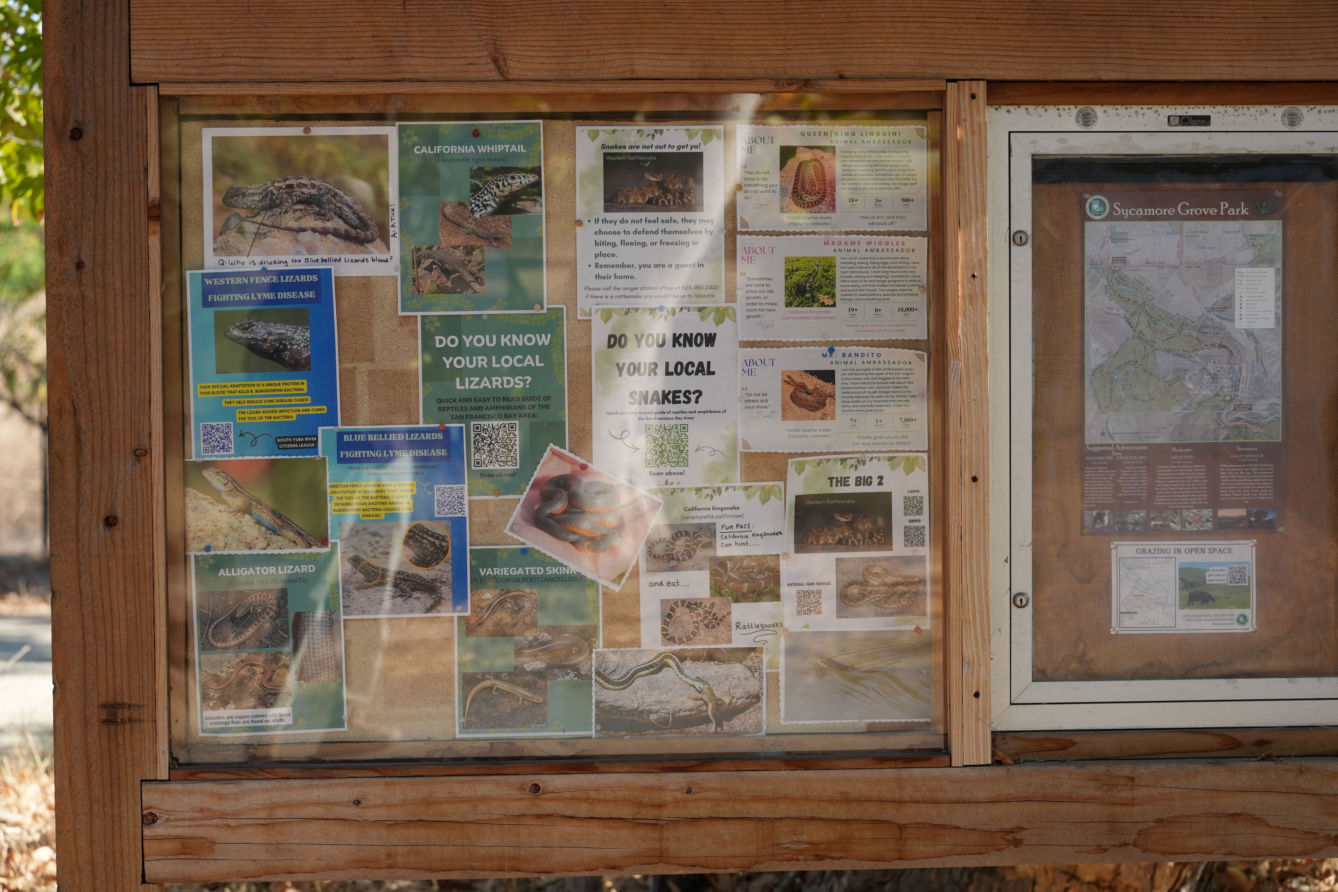 Sycamore Grove Park