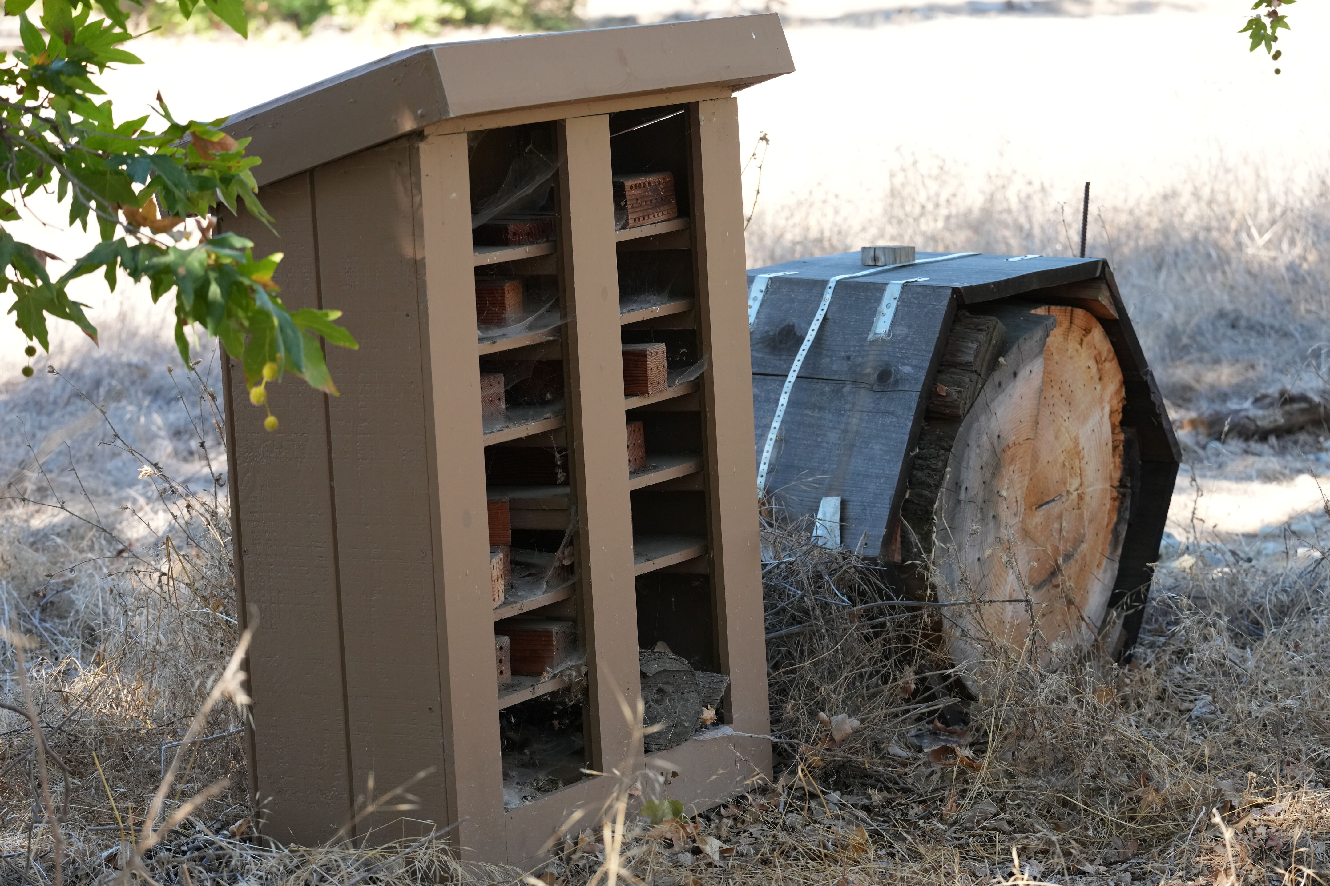 Sycamore Grove Park