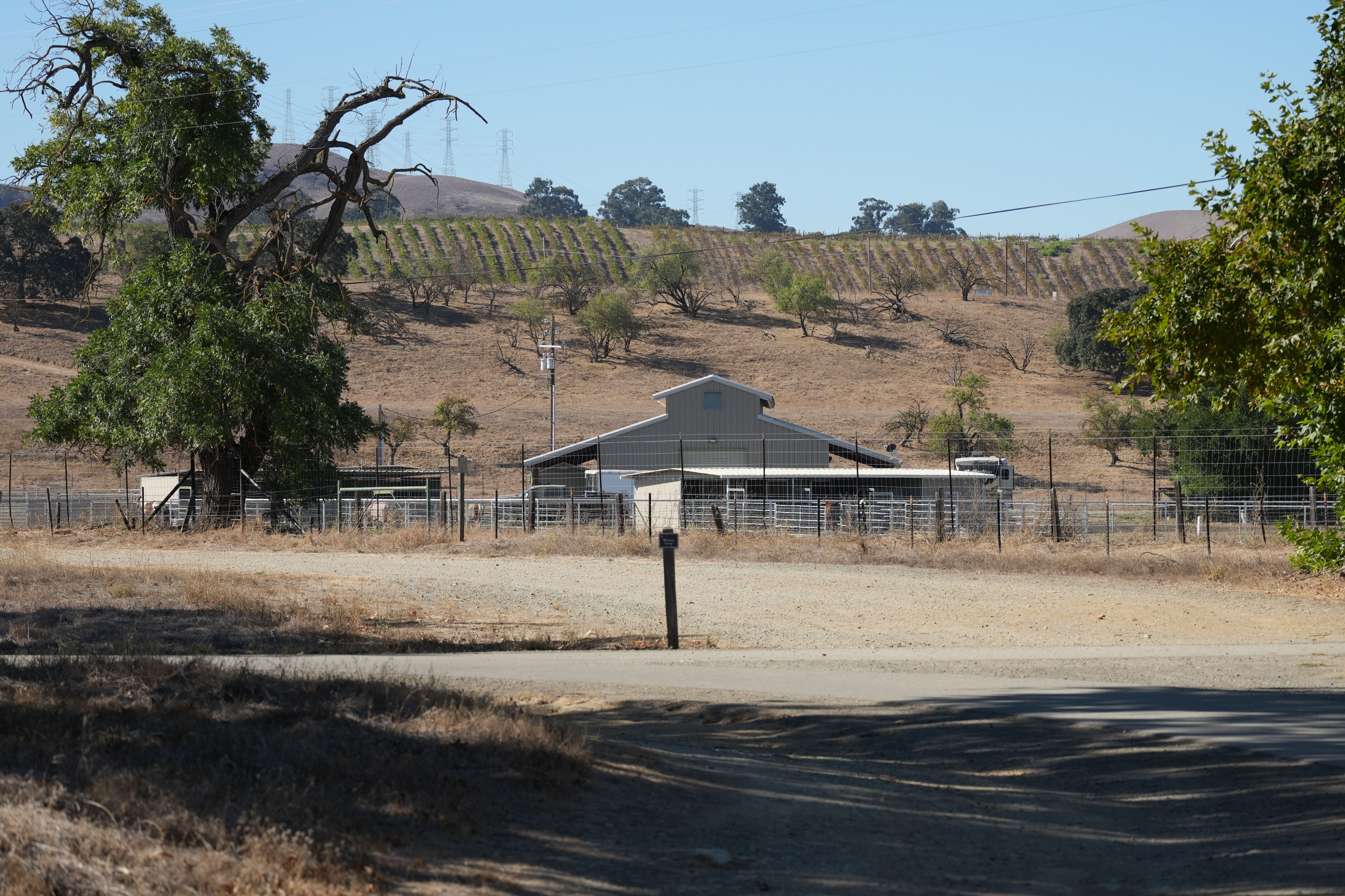 Sycamore Grove Park