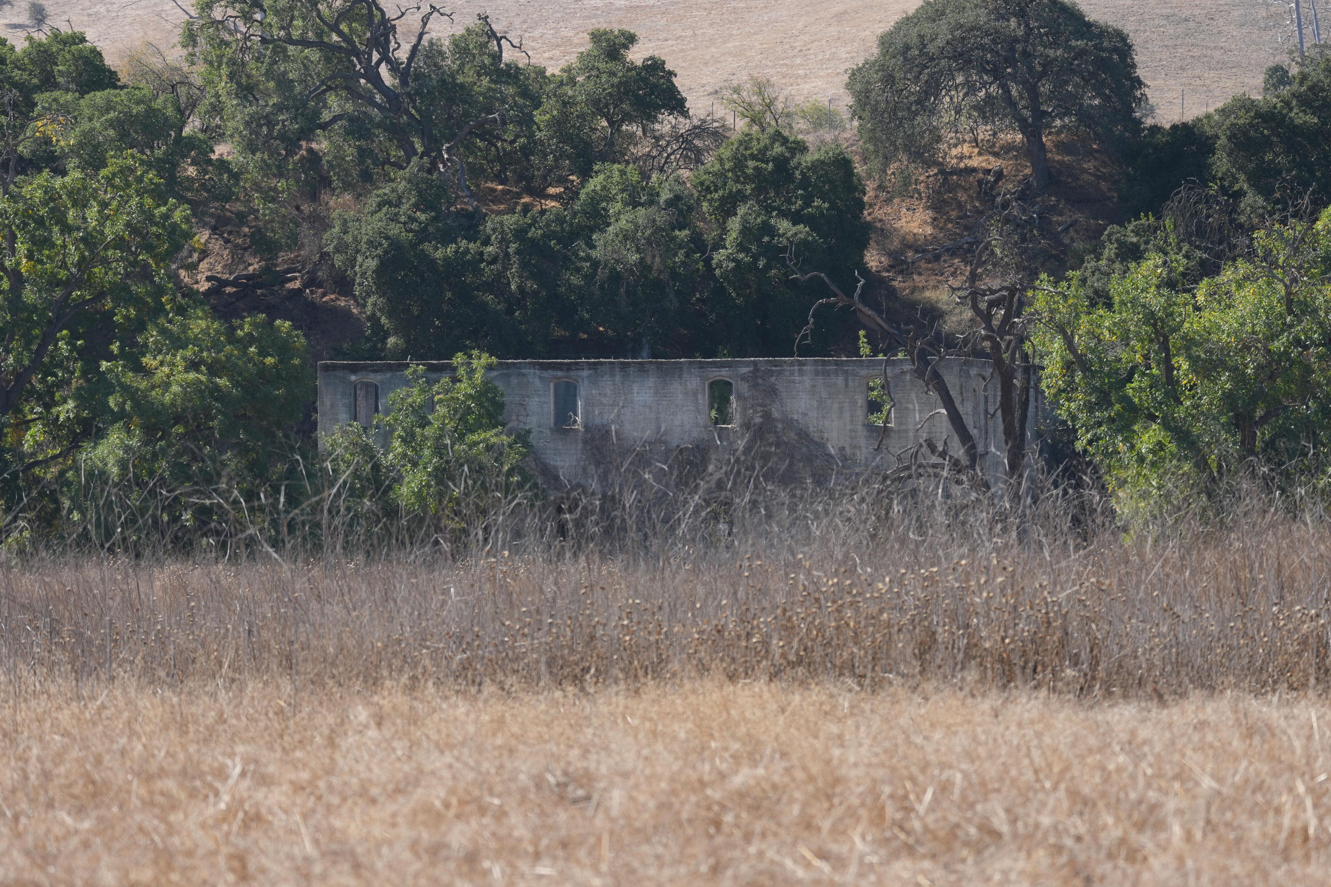 Sycamore Grove Park