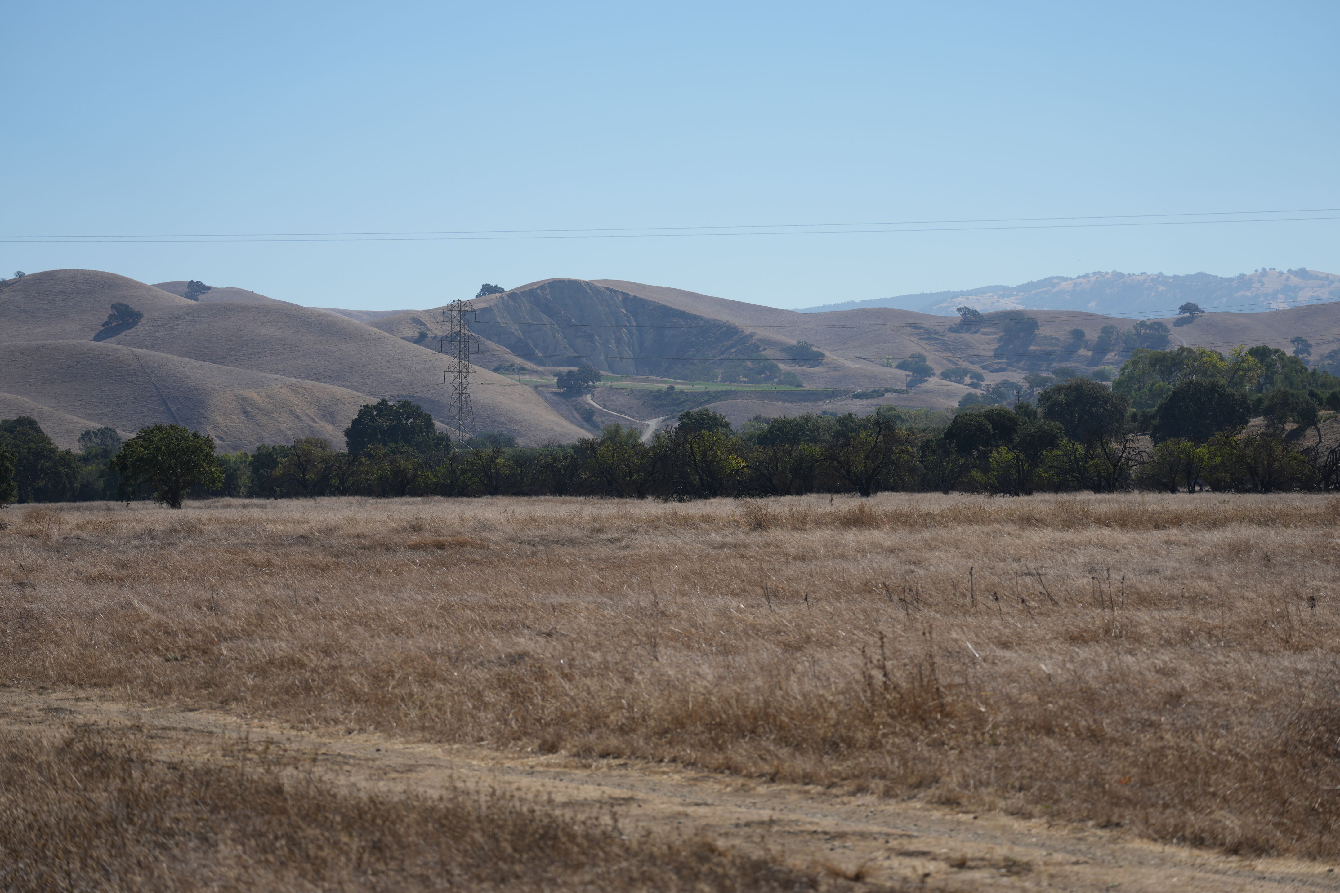 Sycamore Grove Park
