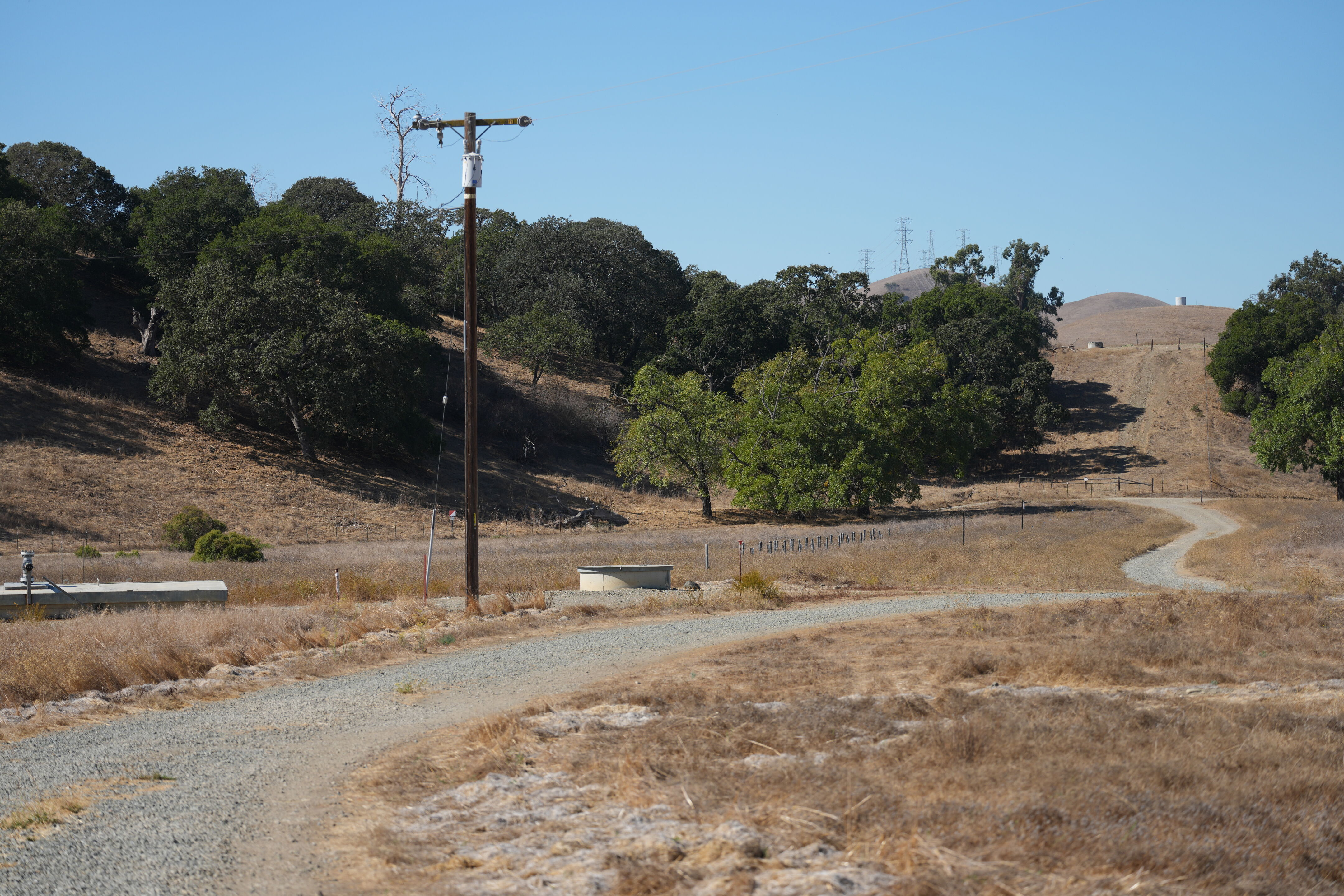 Sycamore Grove Park