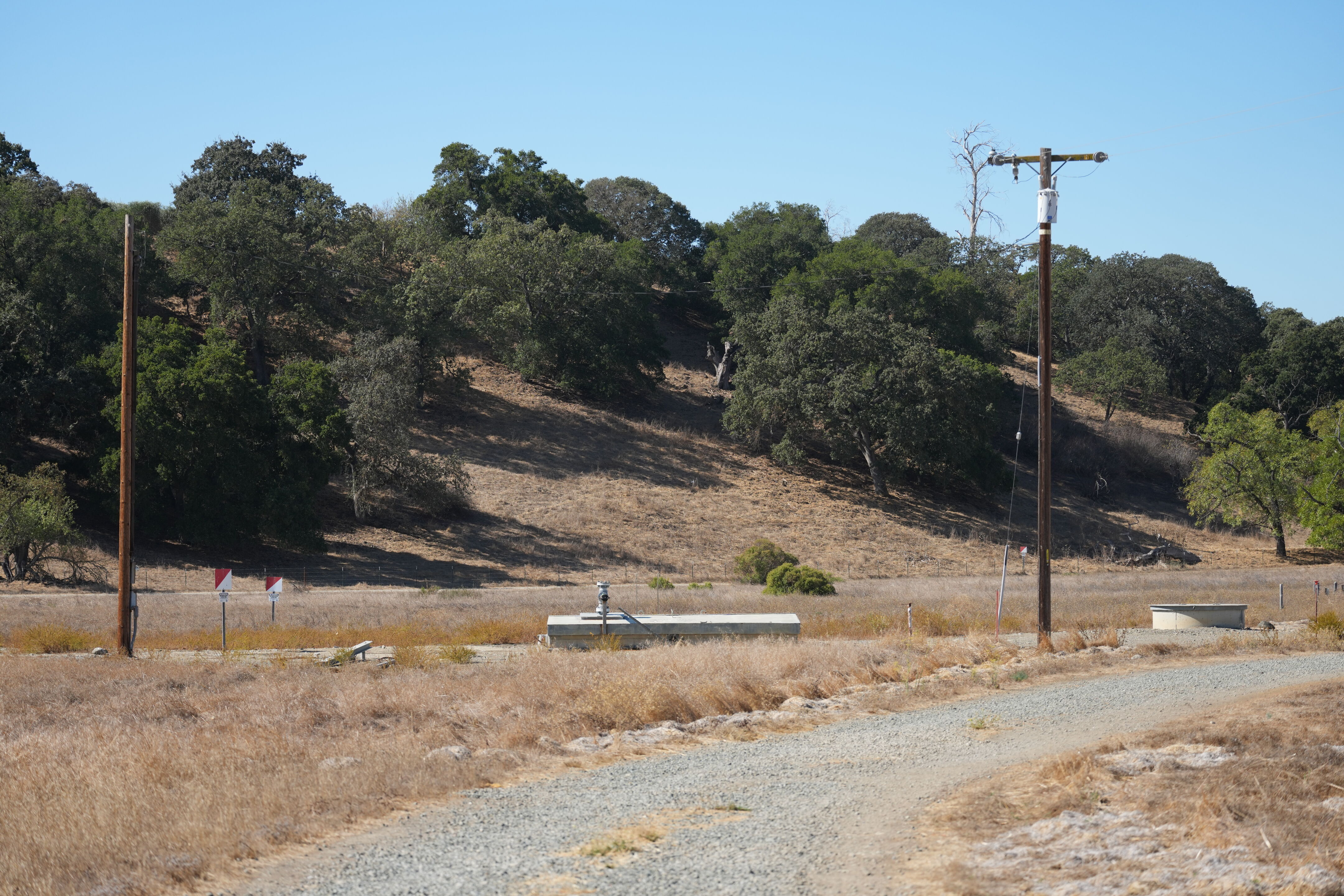 Sycamore Grove Park