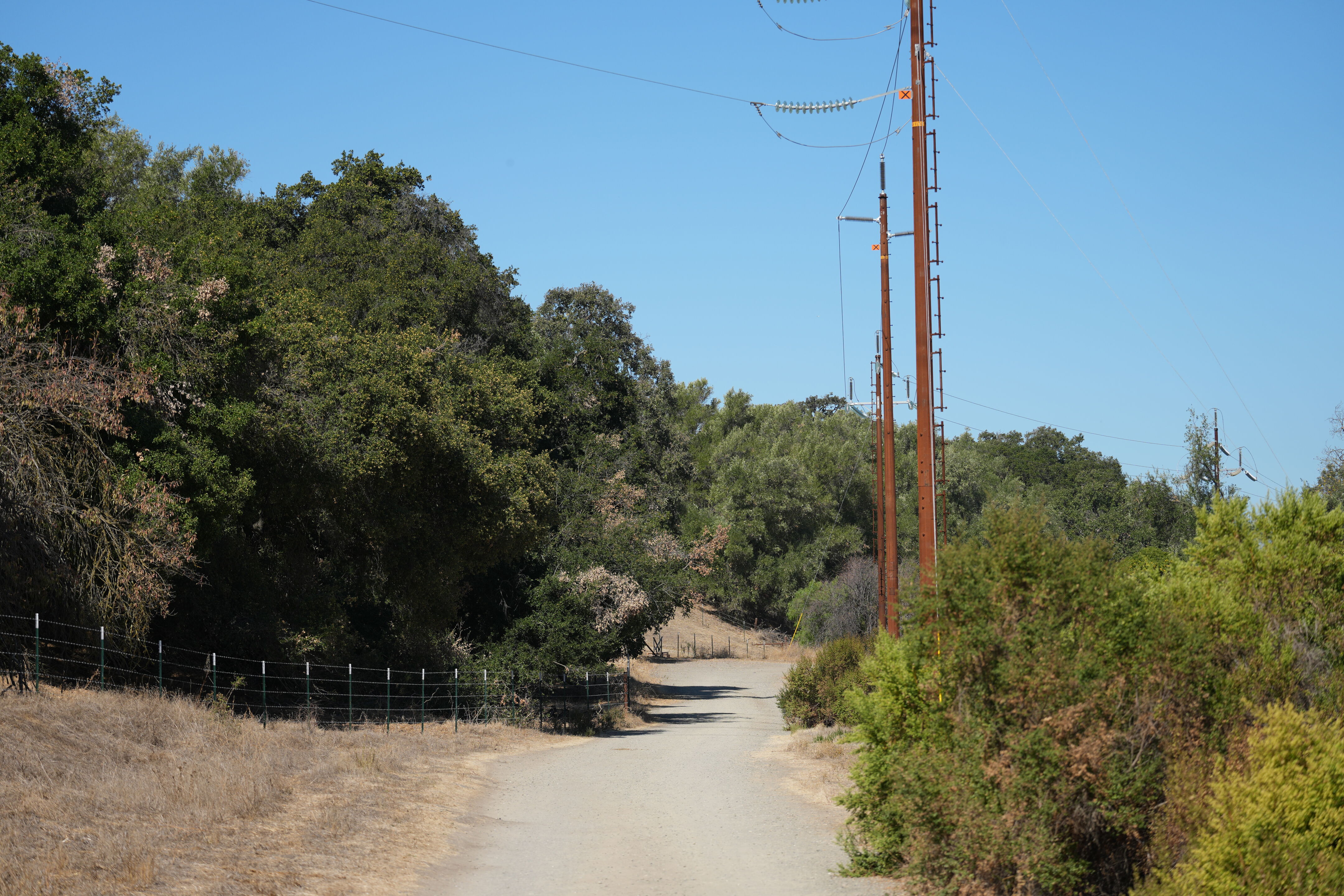 Sycamore Grove Park