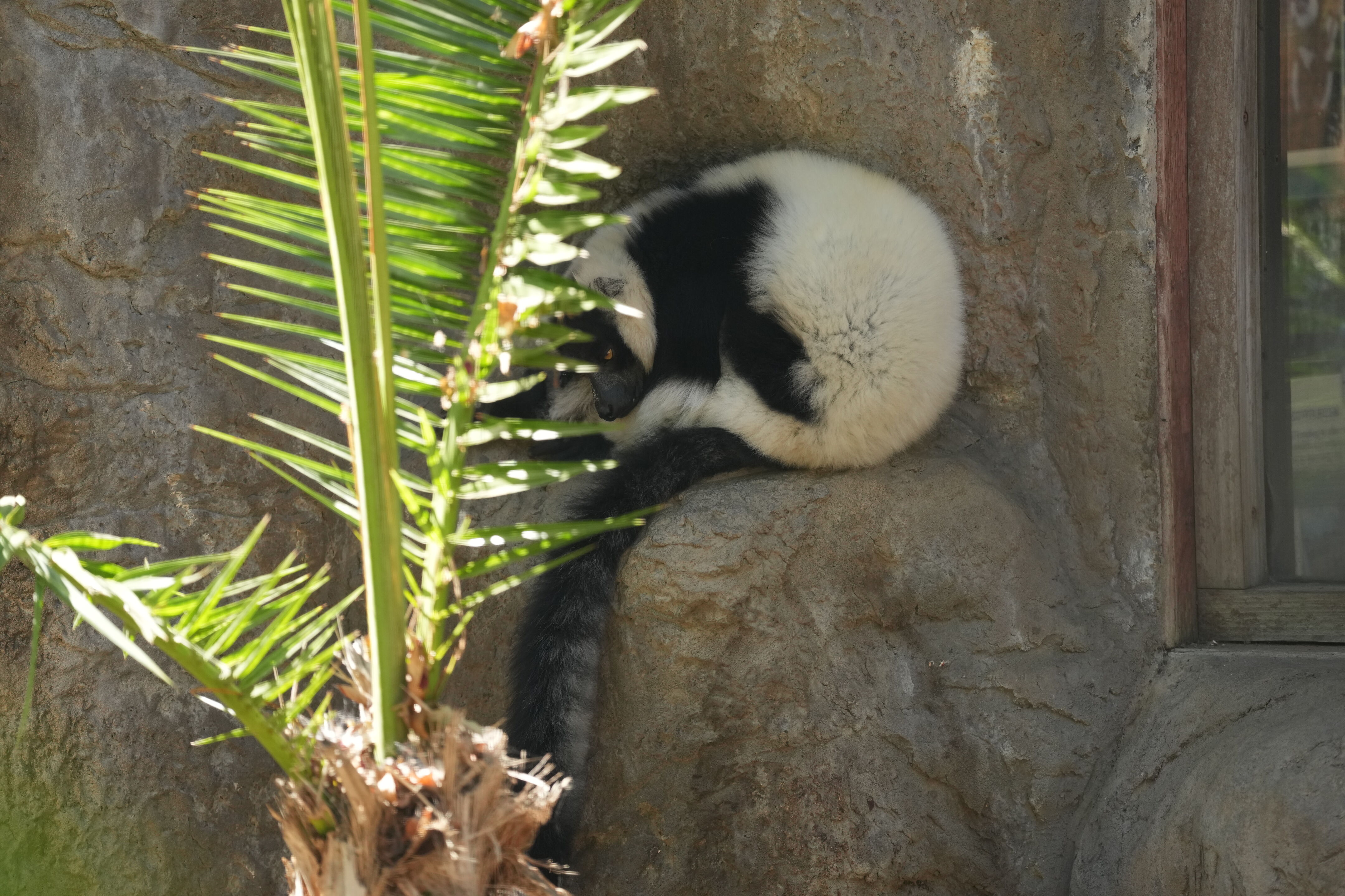 Happy Hollow Park and Zoo