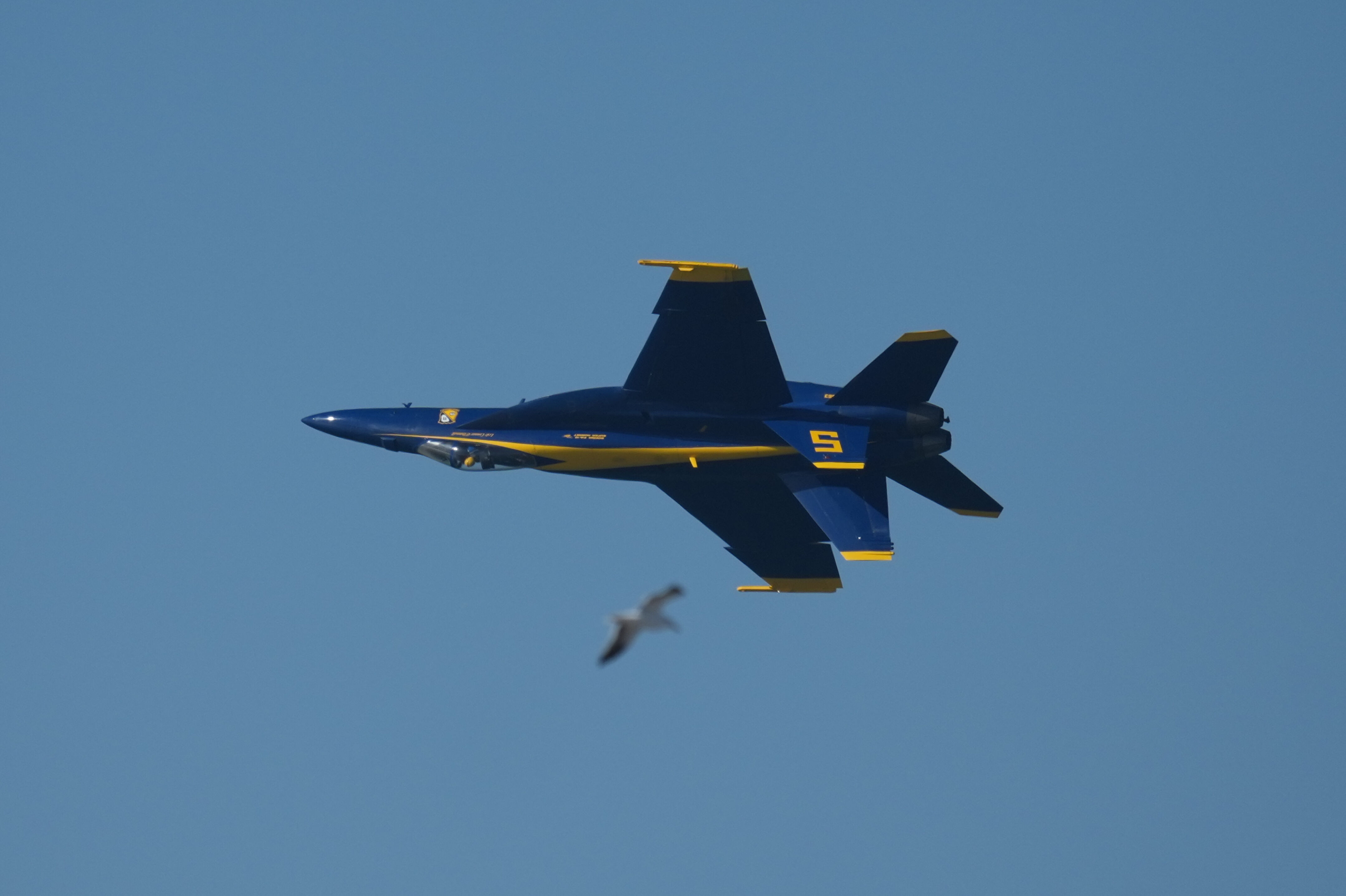 2026 San Francisco Fleet Week Air Show