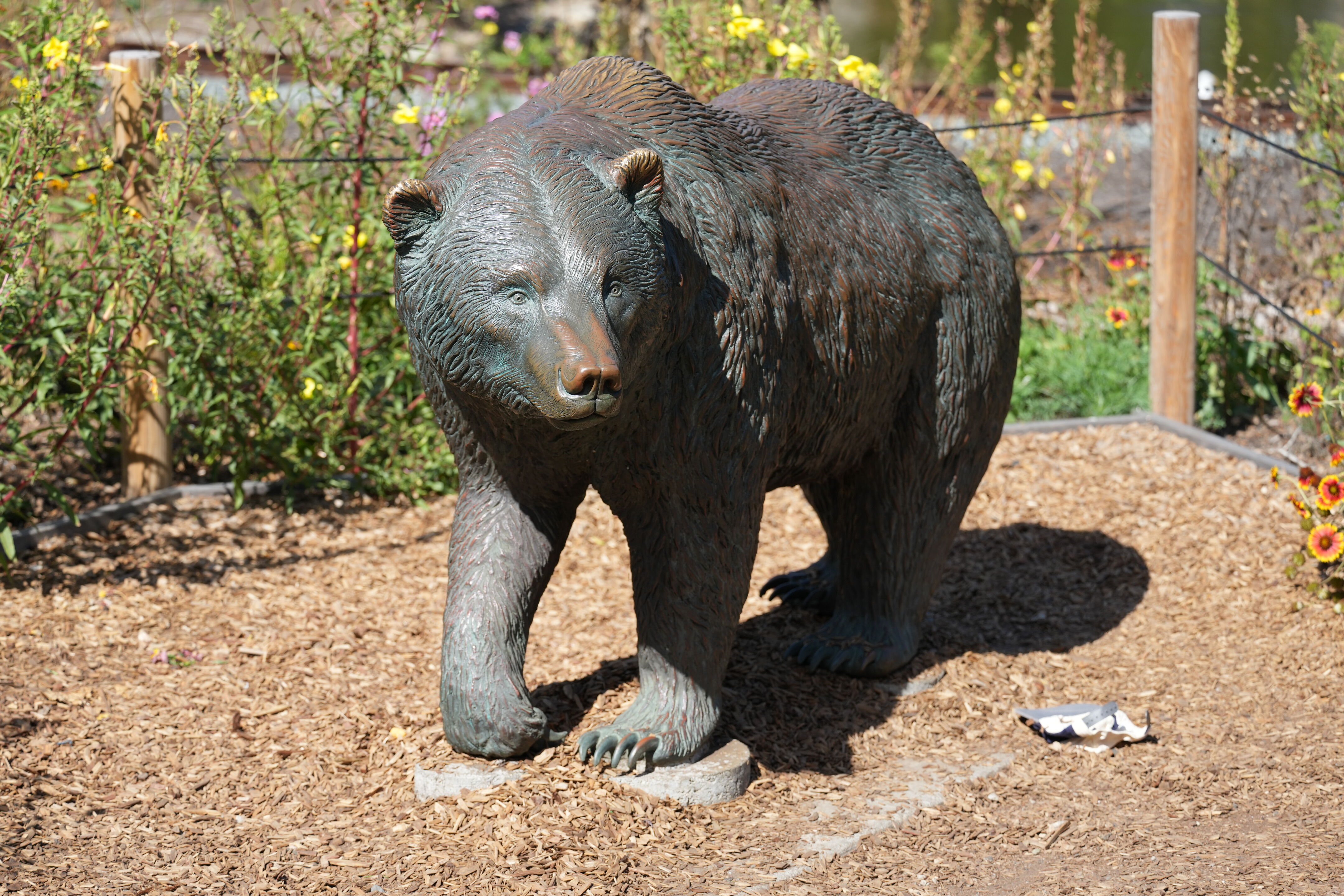 San Francisco Zoo and Gardens