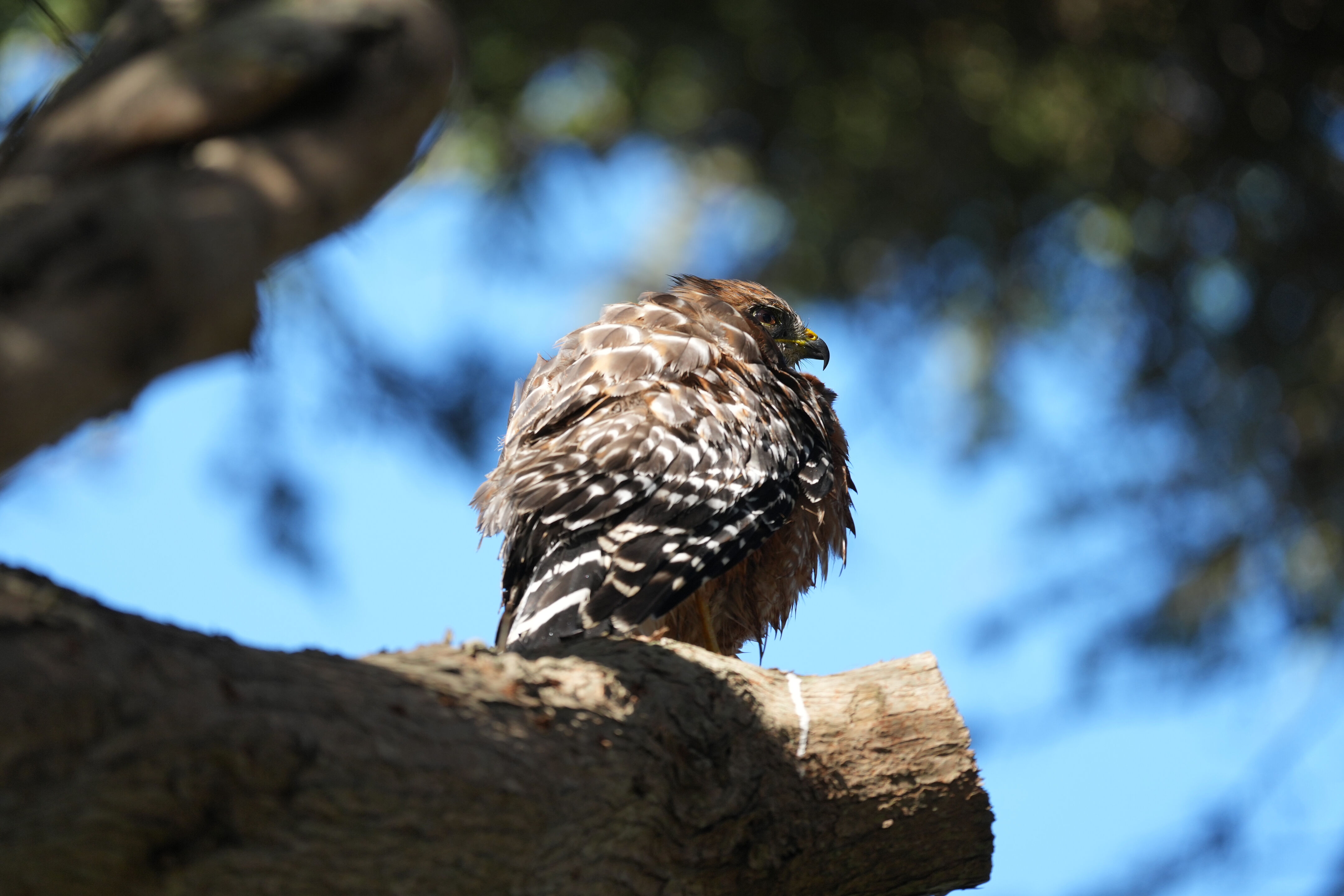 San Francisco Zoo and Gardens