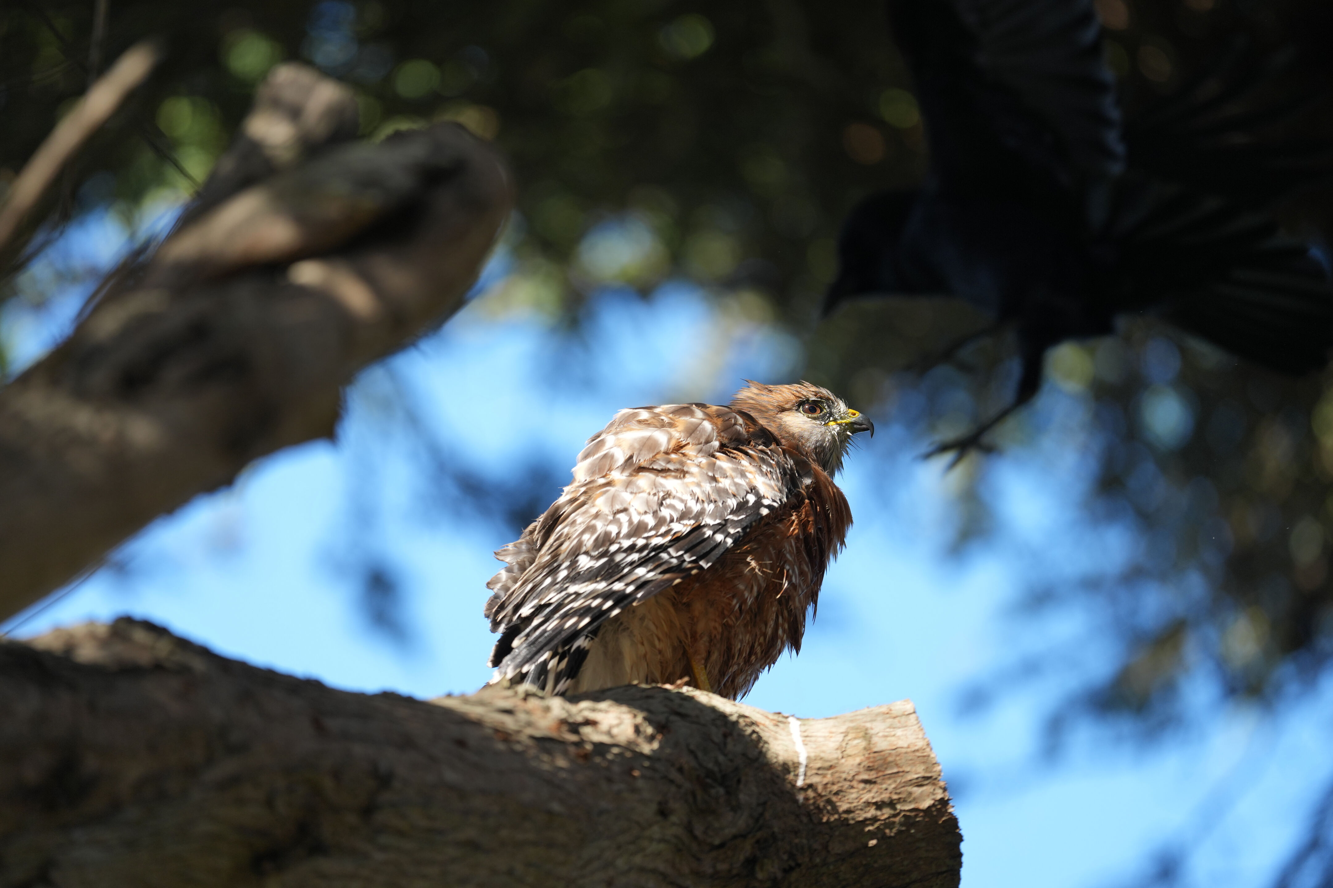 San Francisco Zoo and Gardens