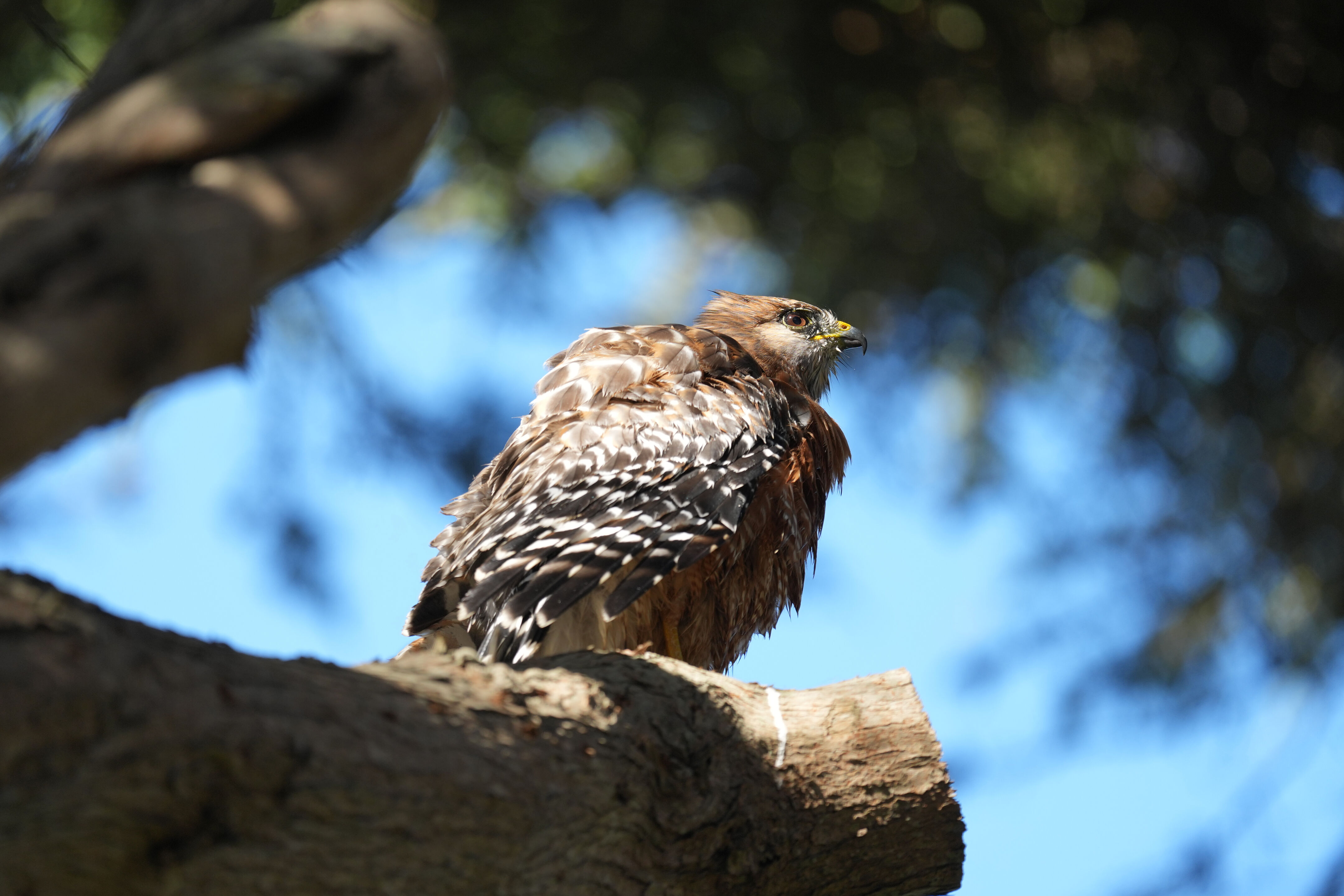 San Francisco Zoo and Gardens