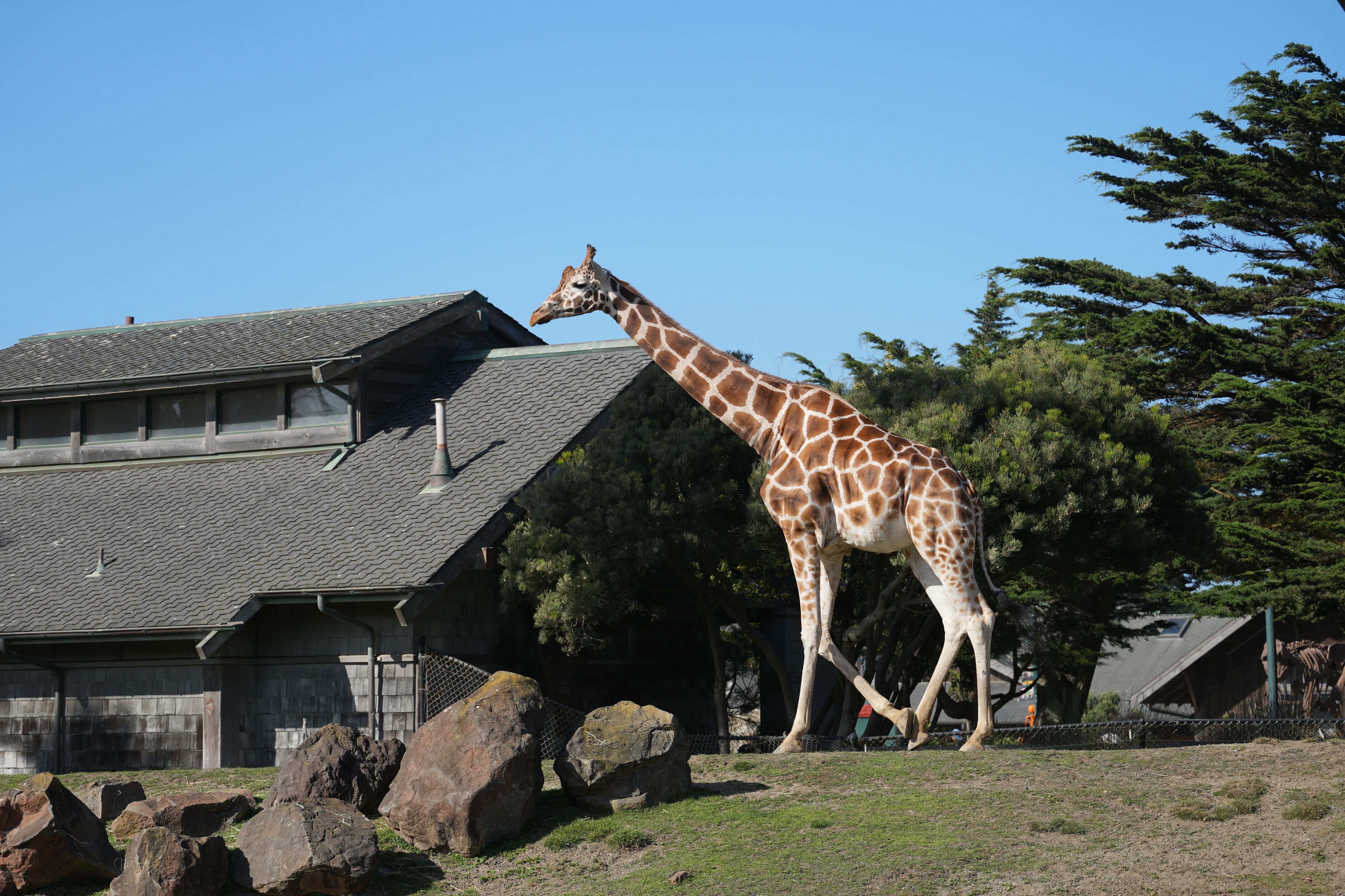 San Francisco Zoo and Gardens