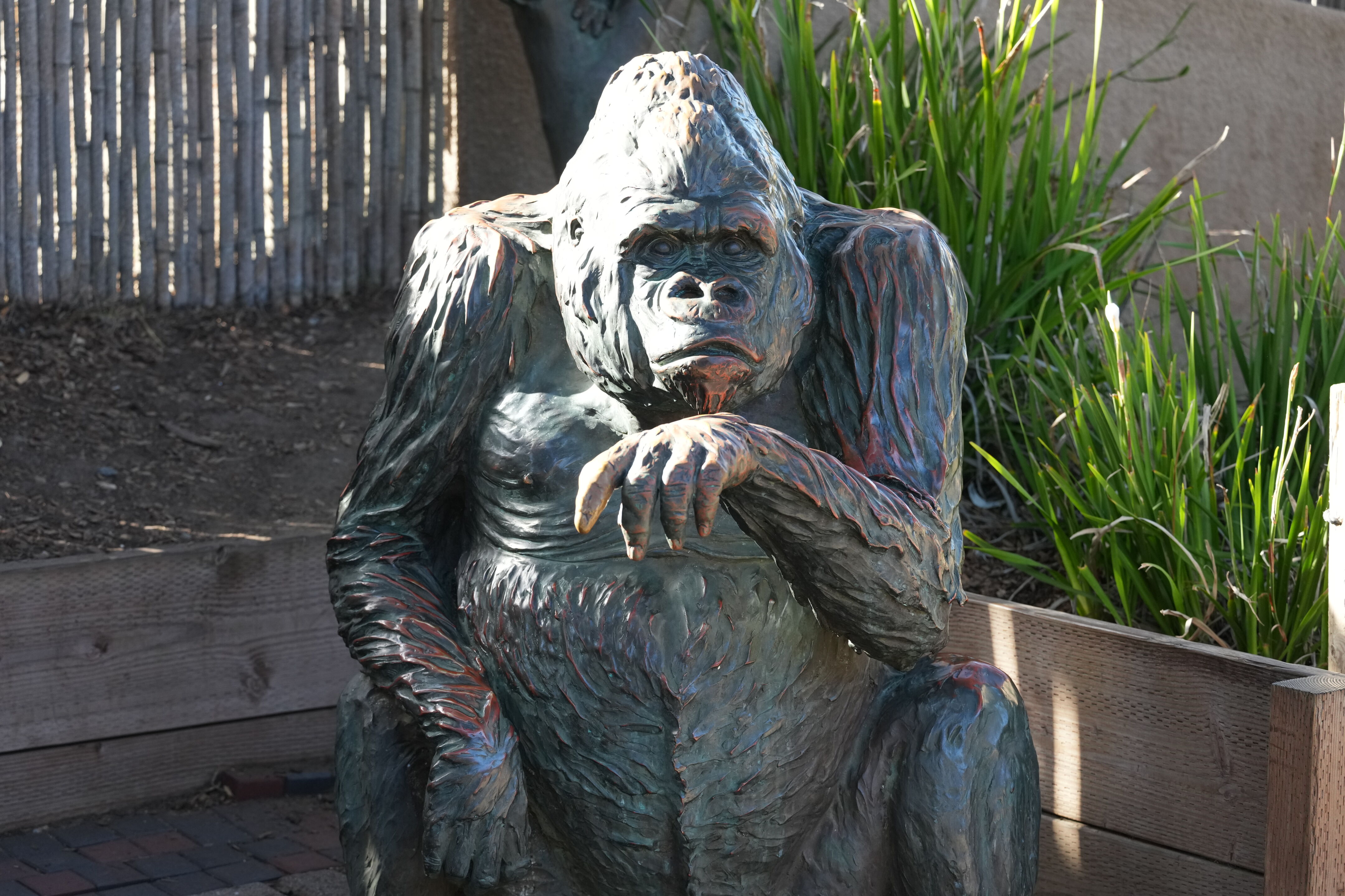 San Francisco Zoo and Gardens