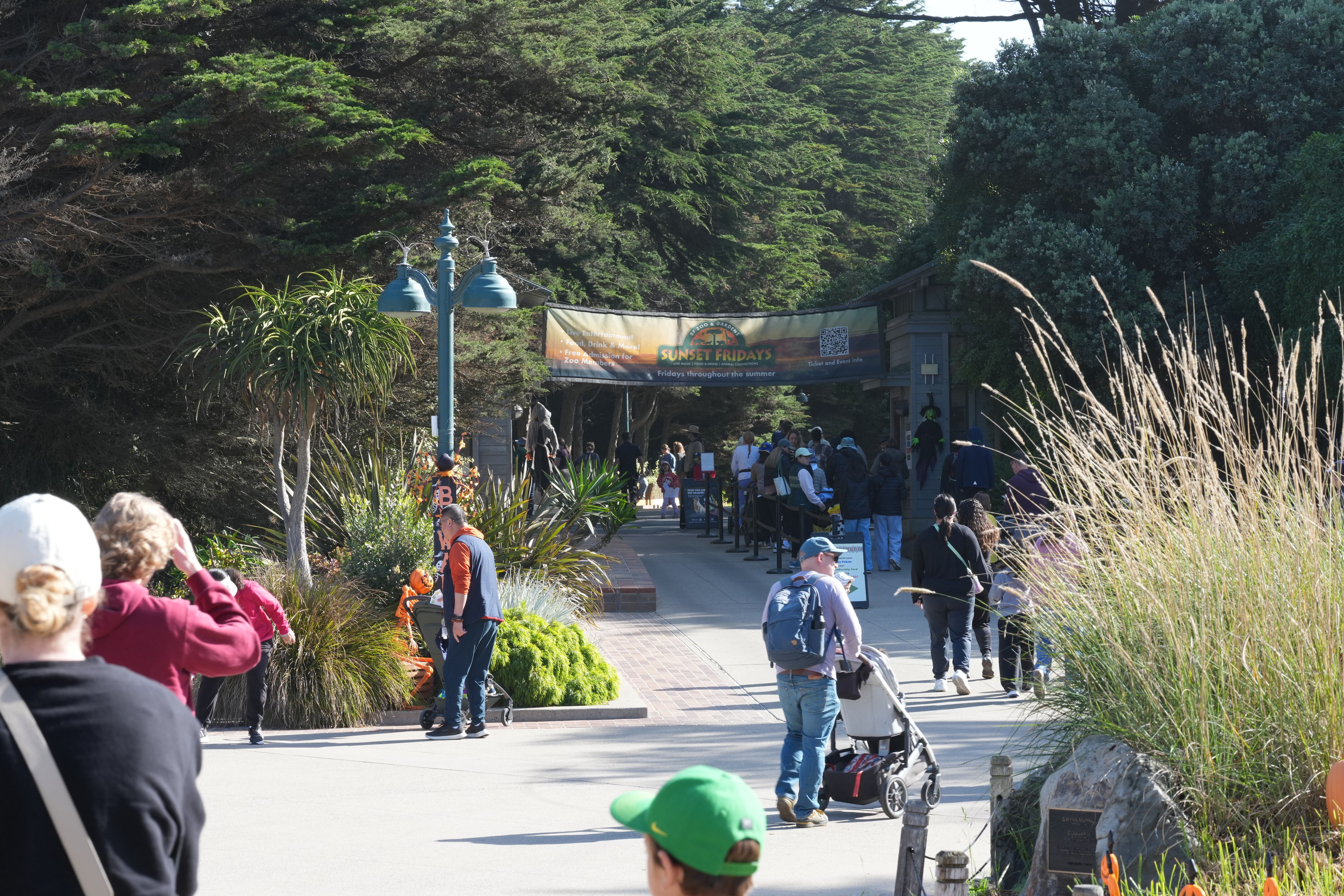 San Francisco Zoo and Gardens