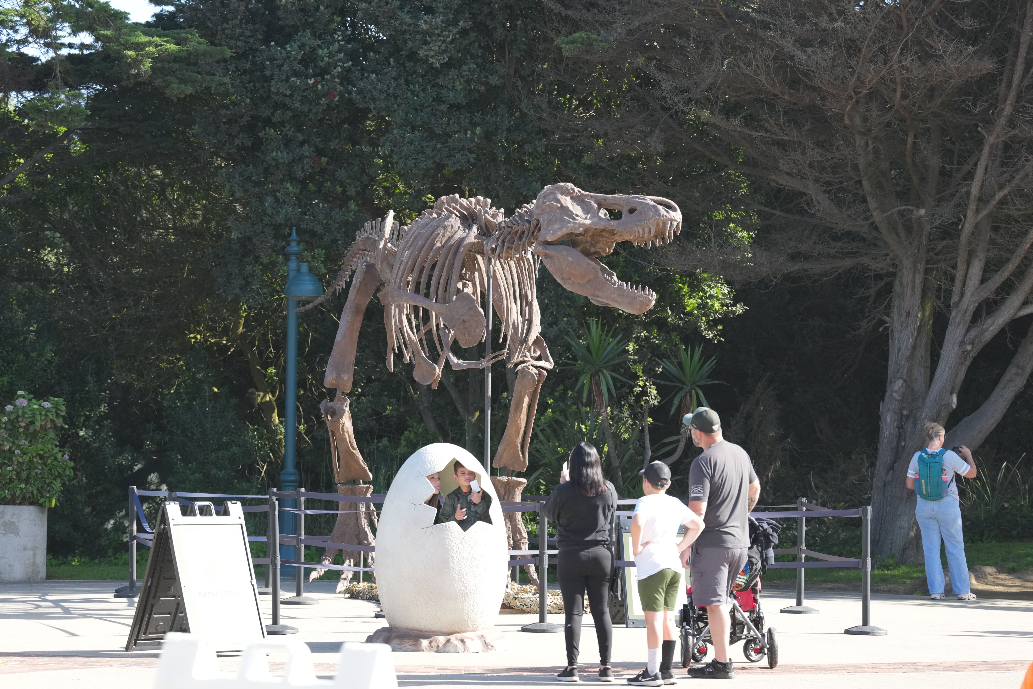 San Francisco Zoo and Gardens