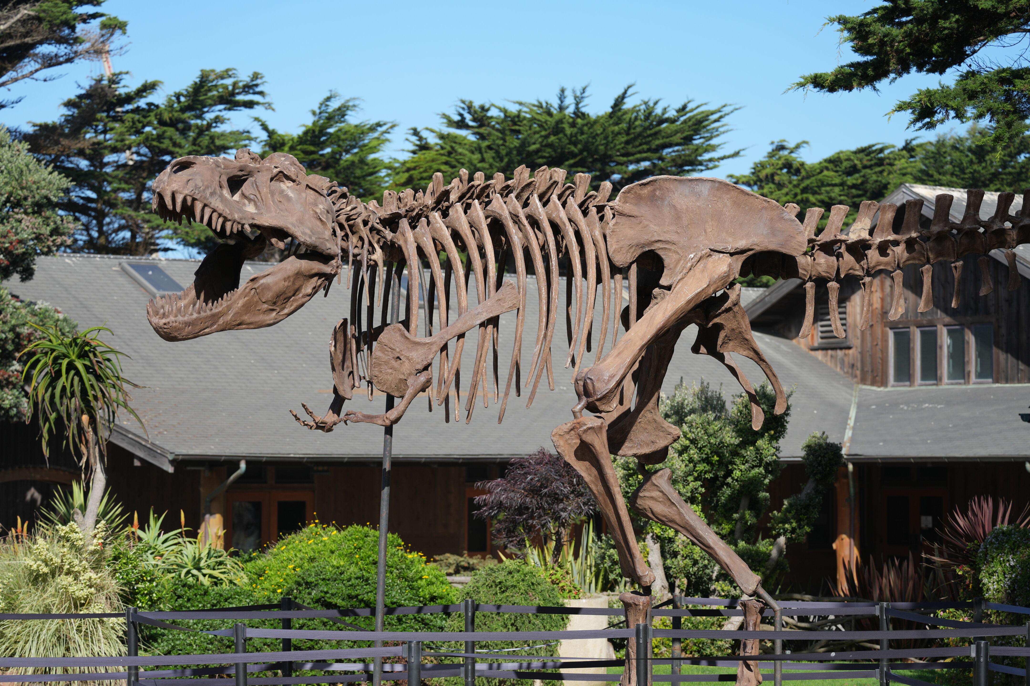 San Francisco Zoo and Gardens