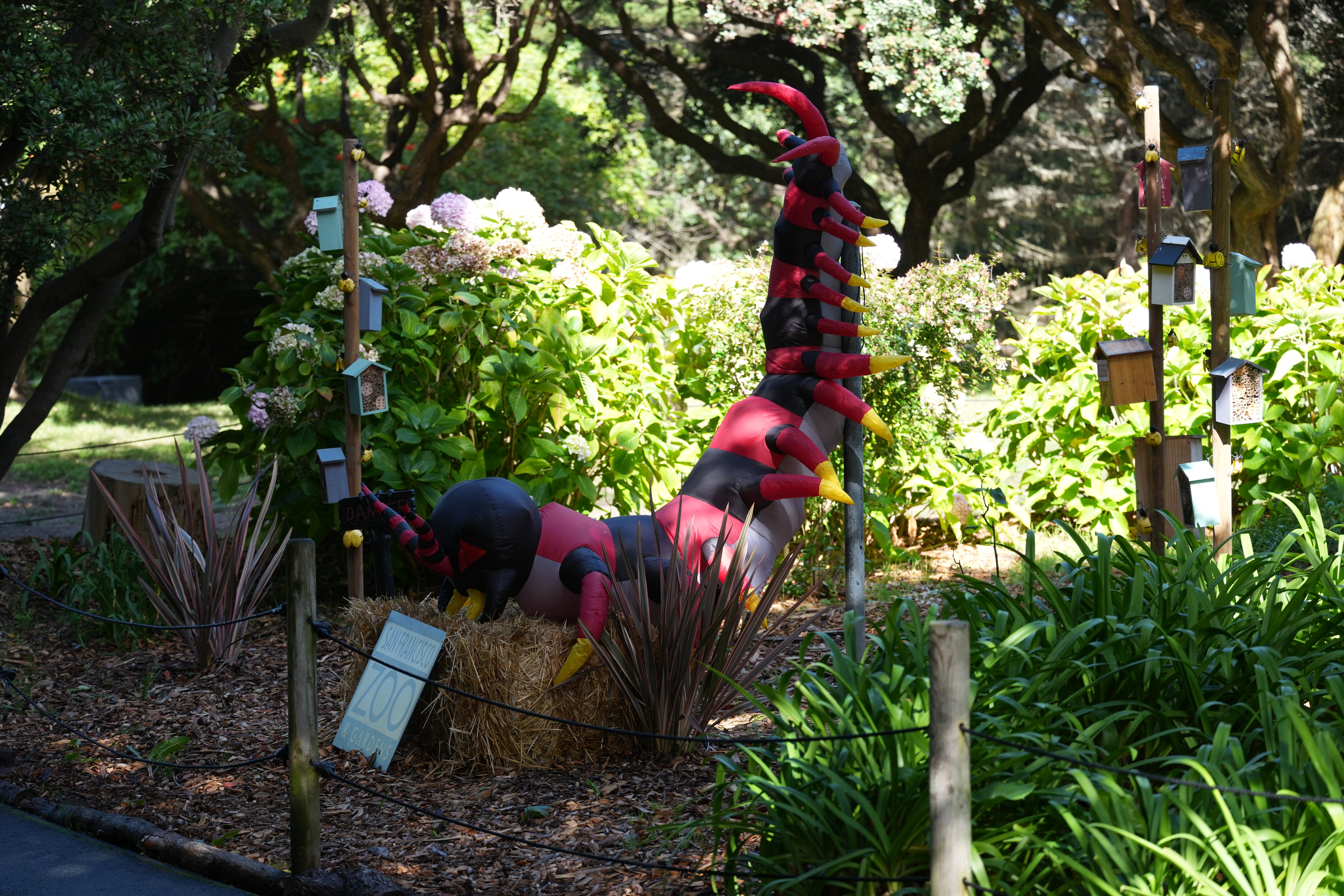 San Francisco Zoo and Gardens