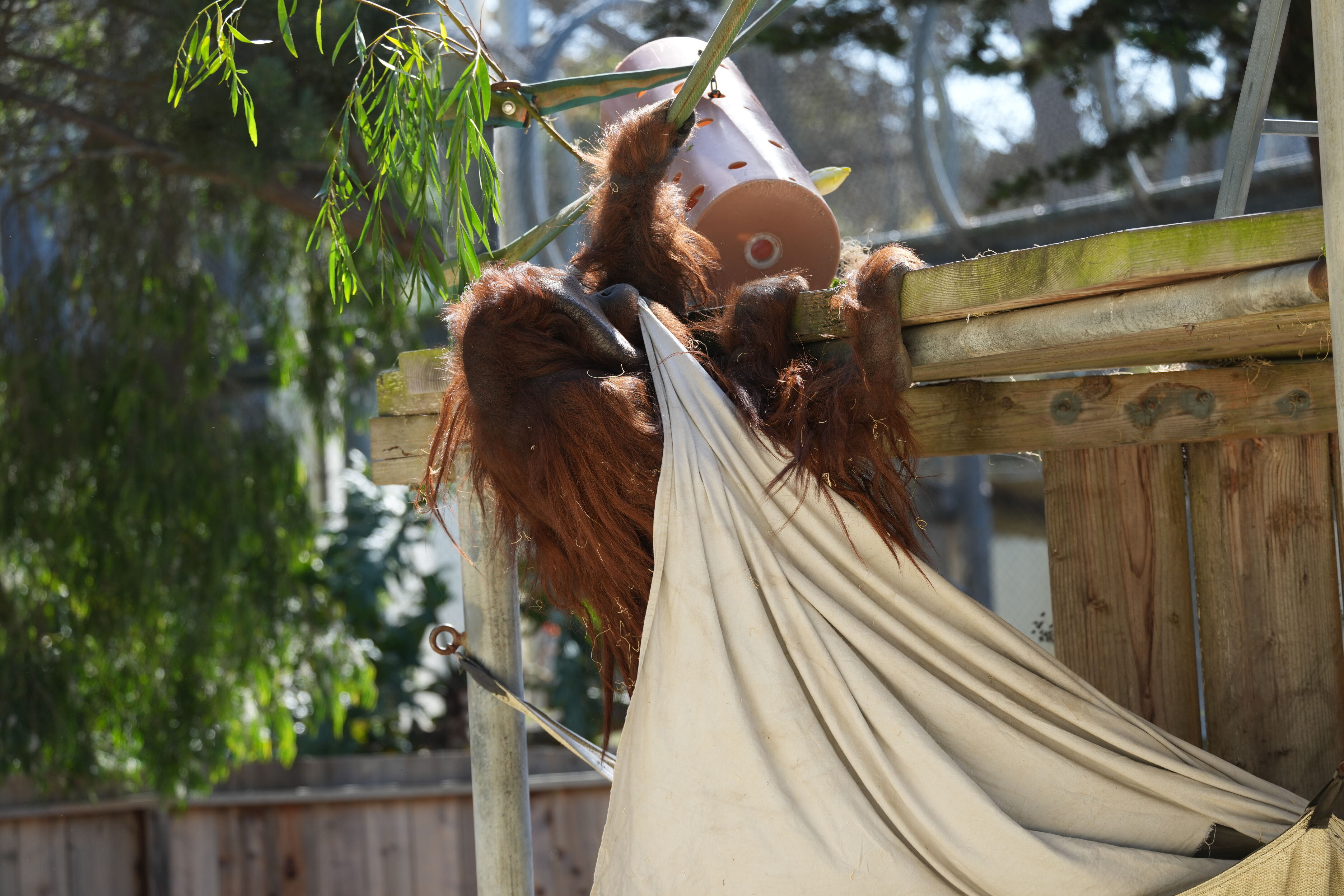 San Francisco Zoo and Gardens