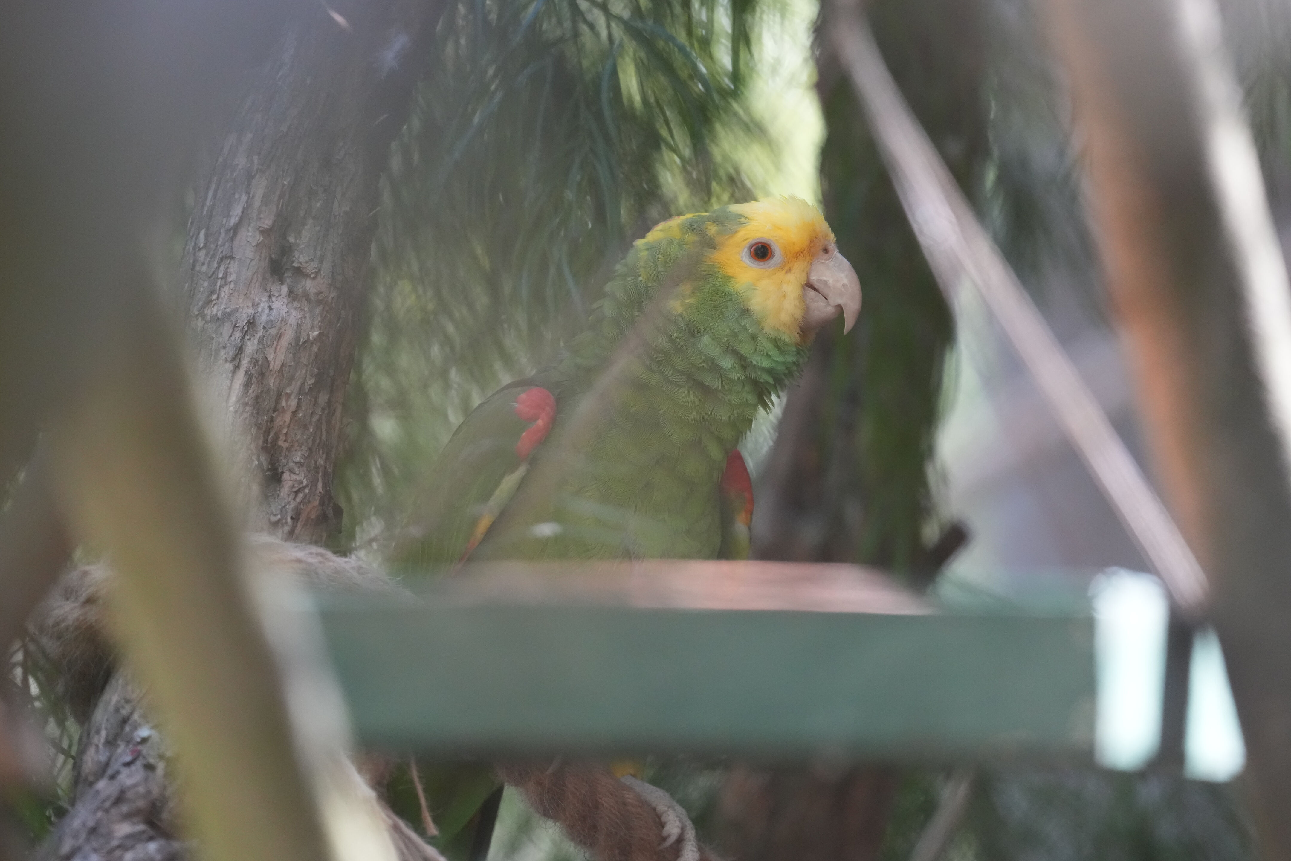 San Francisco Zoo and Gardens