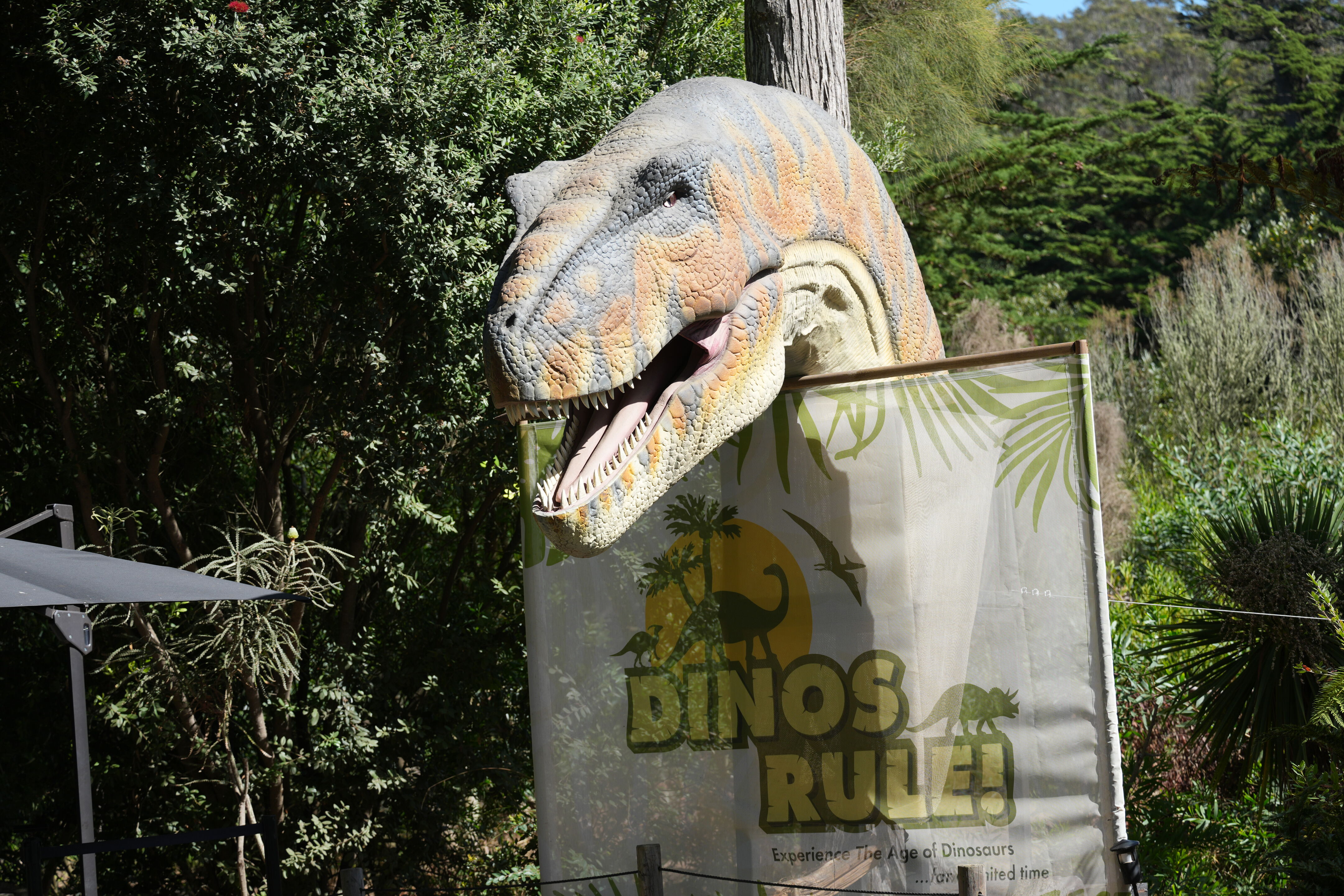 San Francisco Zoo and Gardens