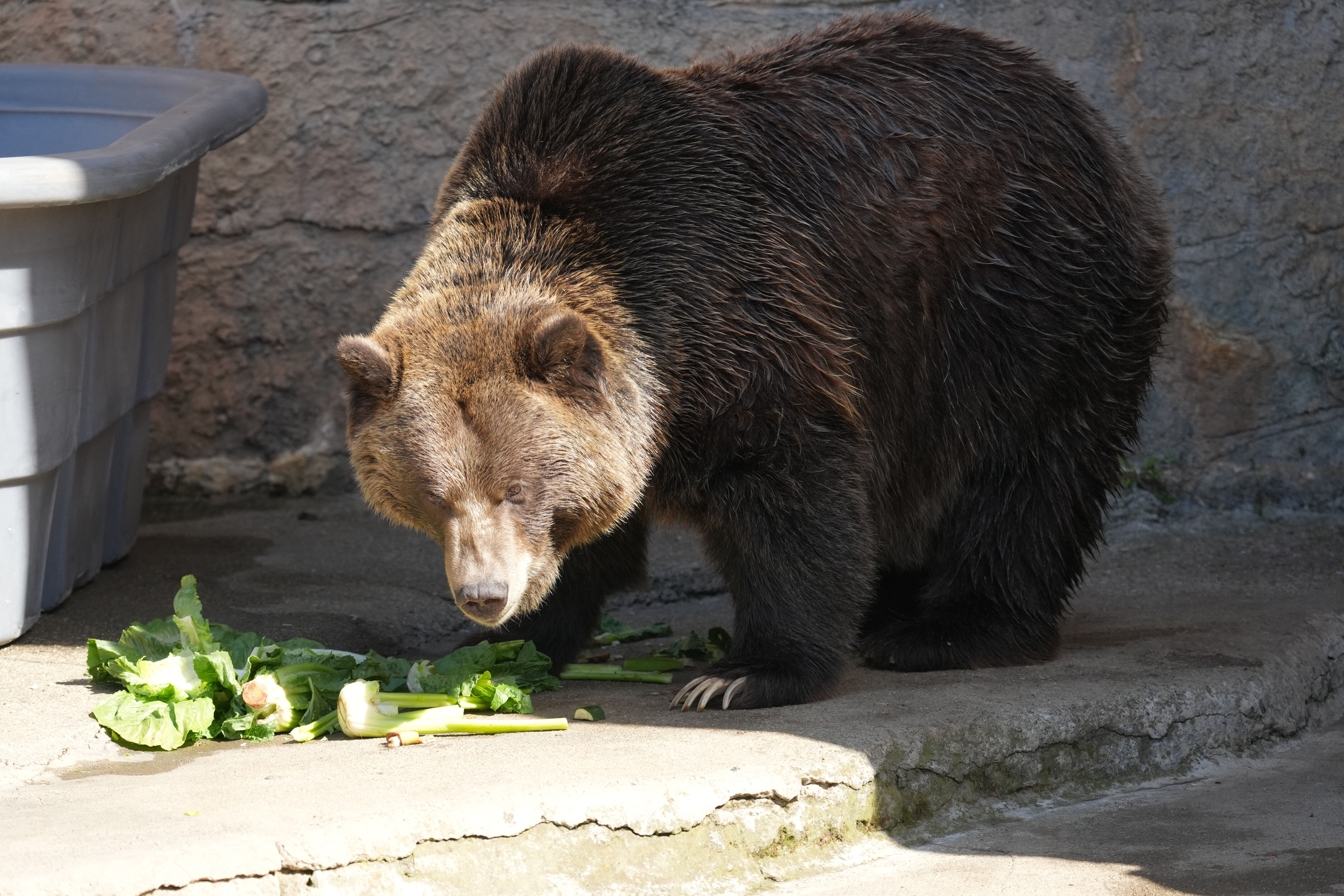 San Francisco Zoo and Gardens
