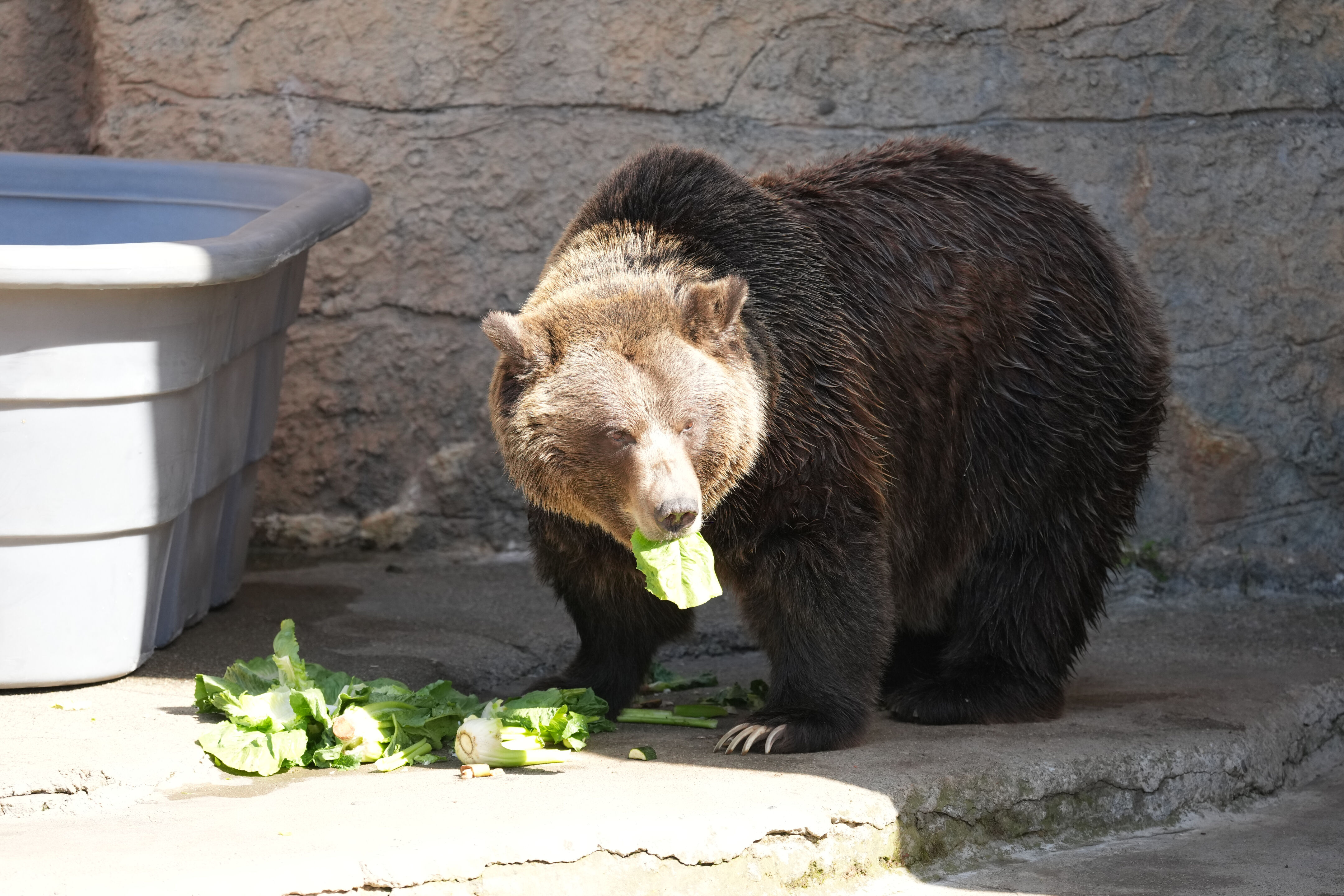 San Francisco Zoo and Gardens